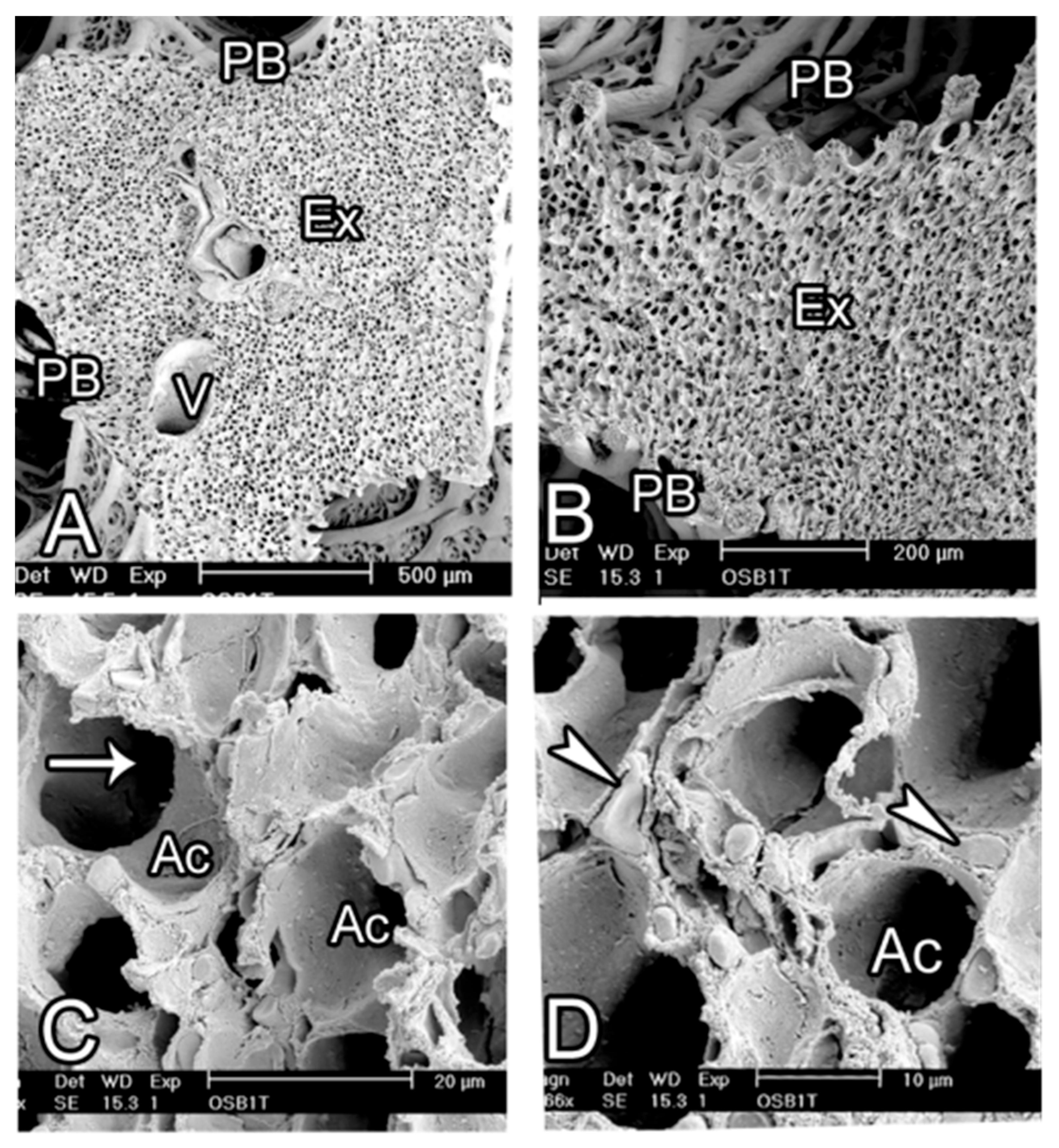 Animals 14 00316 g009