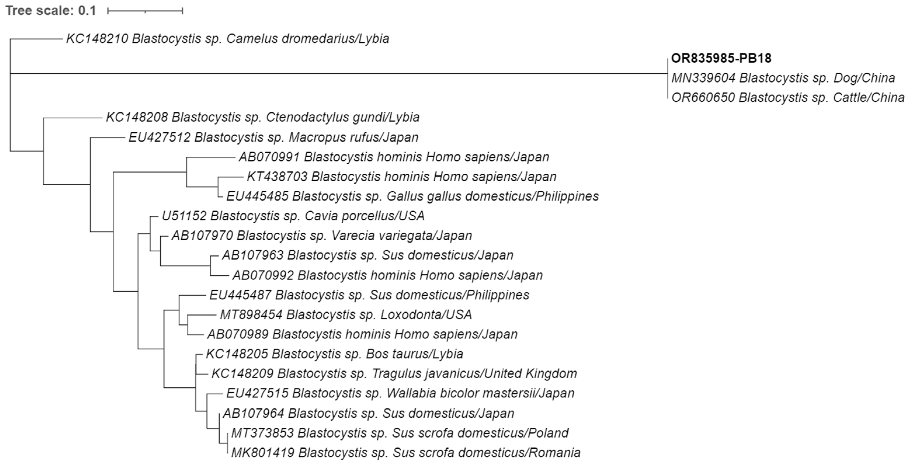 Animals 14 00326 g002