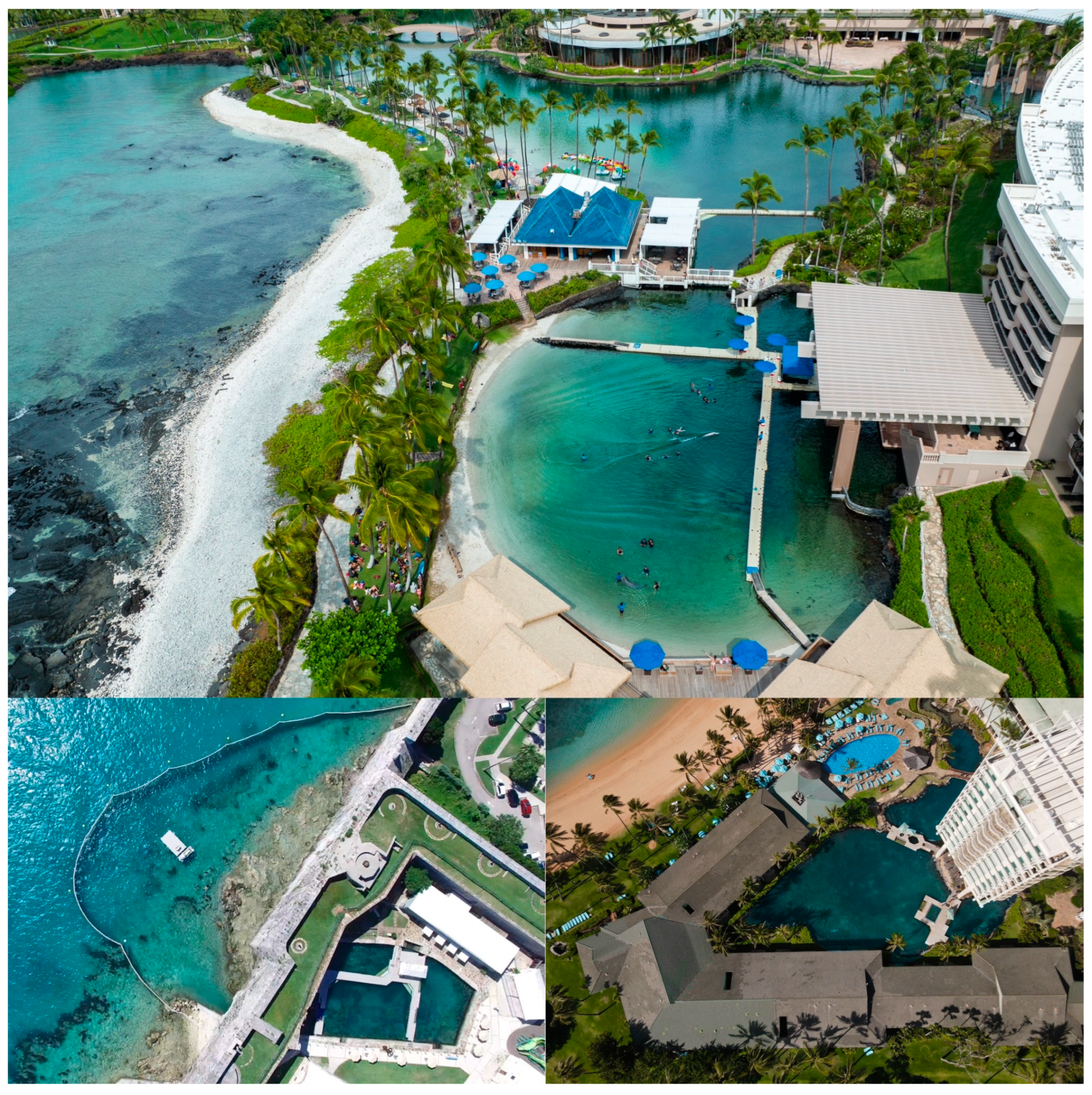 Animals 14 00335 g001