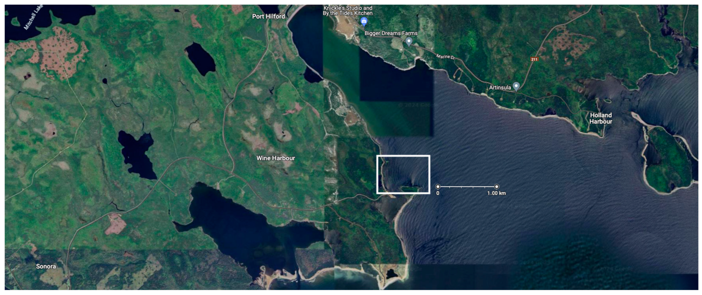 Animals 14 00335 g003