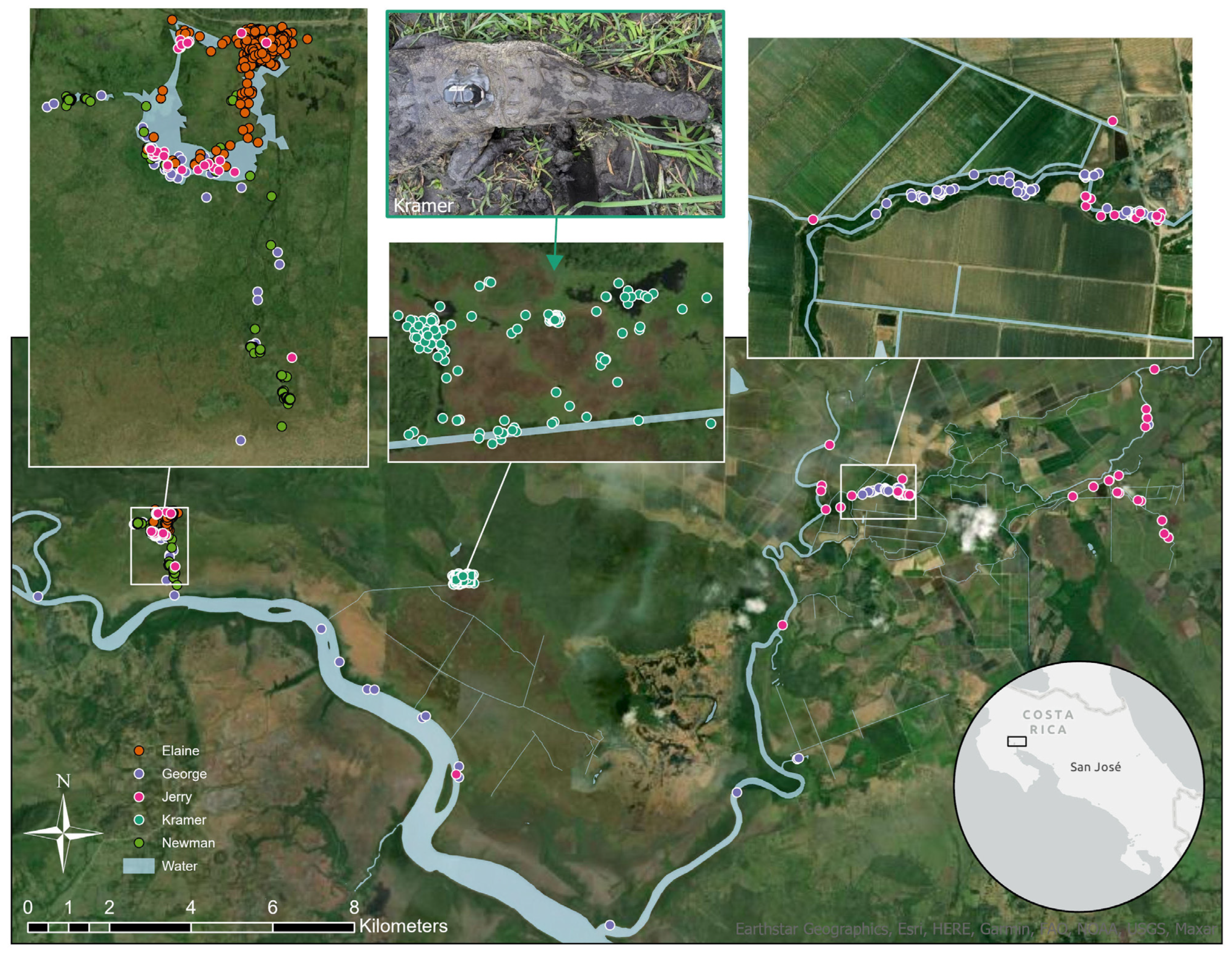 Animals 14 00339 g001