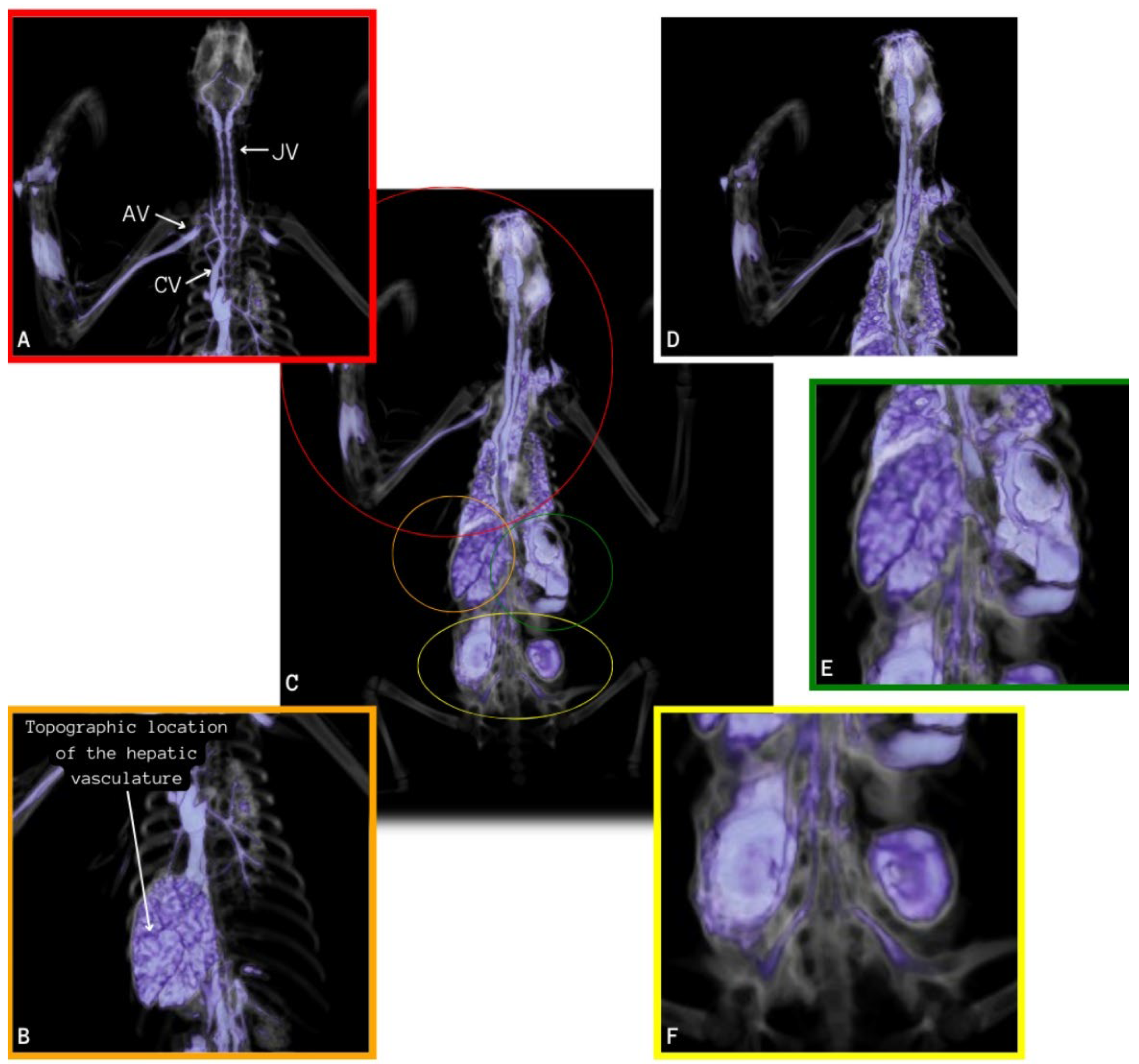 Animals 14 00355 g002 Animals 14 00355 g002