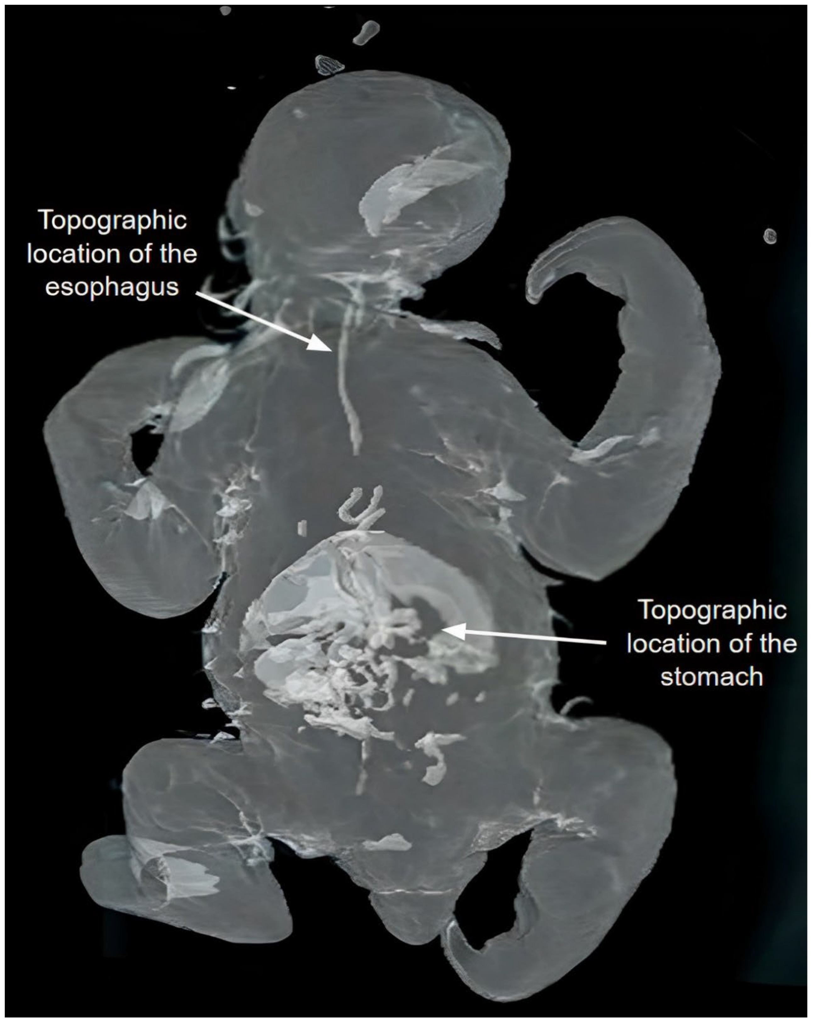 Animals 14 00355 g005 Animals 14 00355 g005