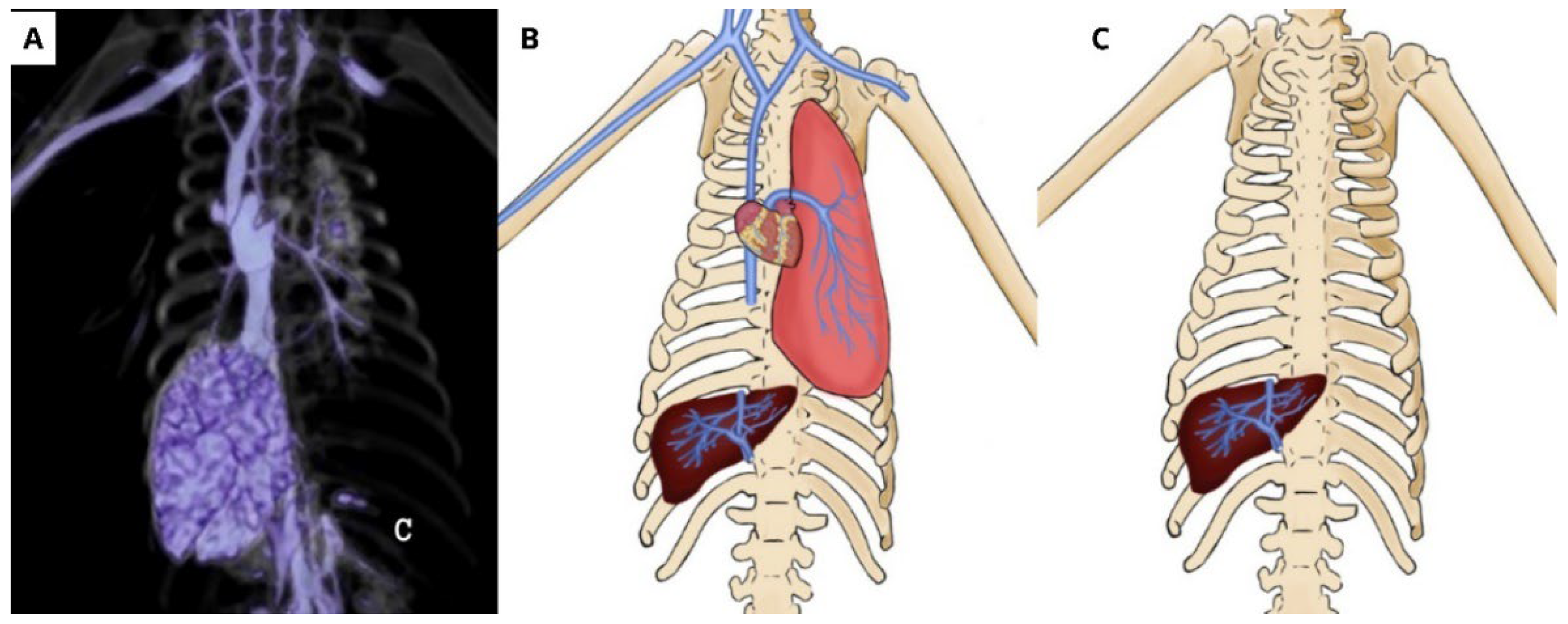 Animals 14 00355 g007 Animals 14 00355 g007