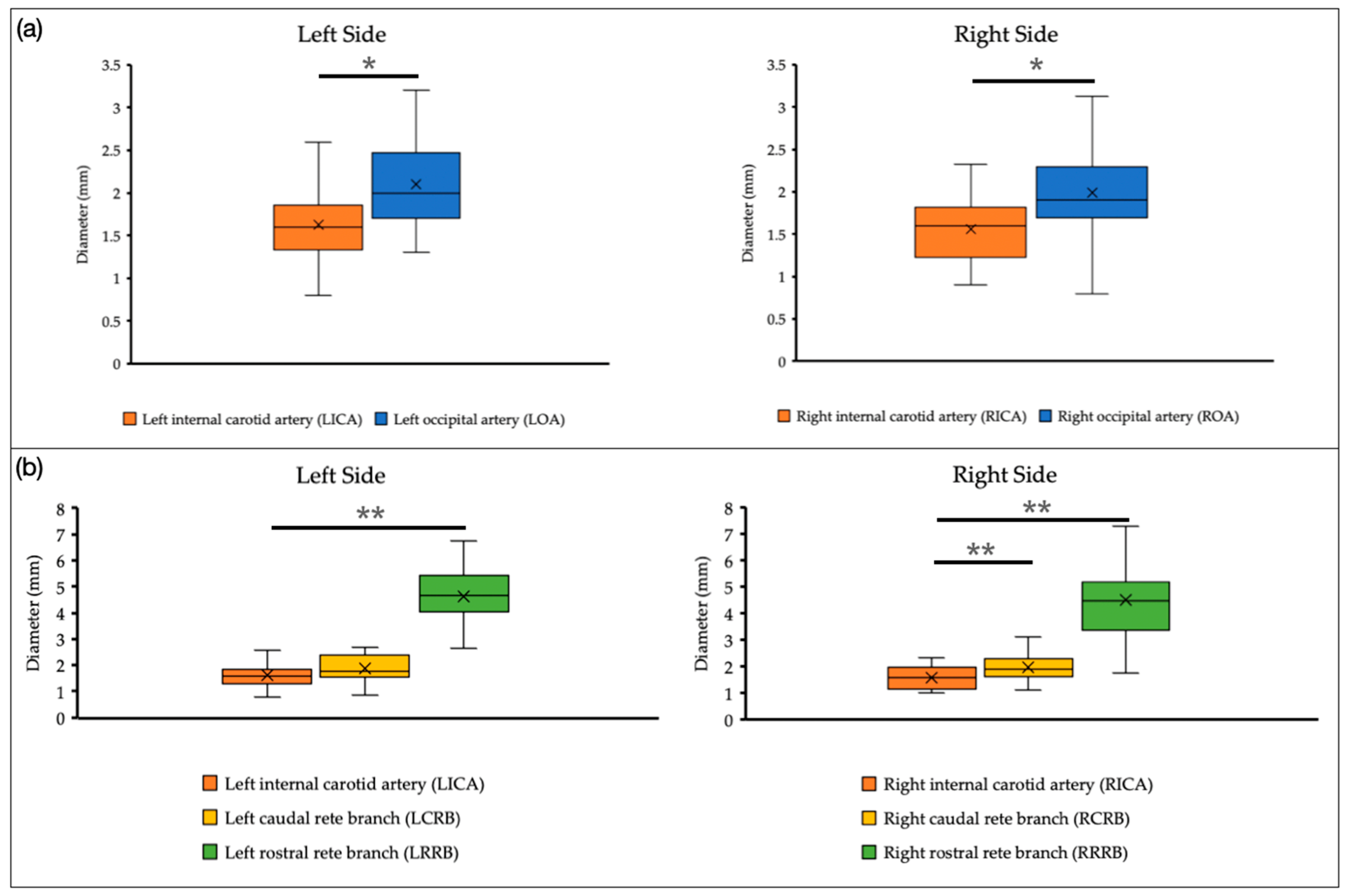 Animals 14 00365 g003