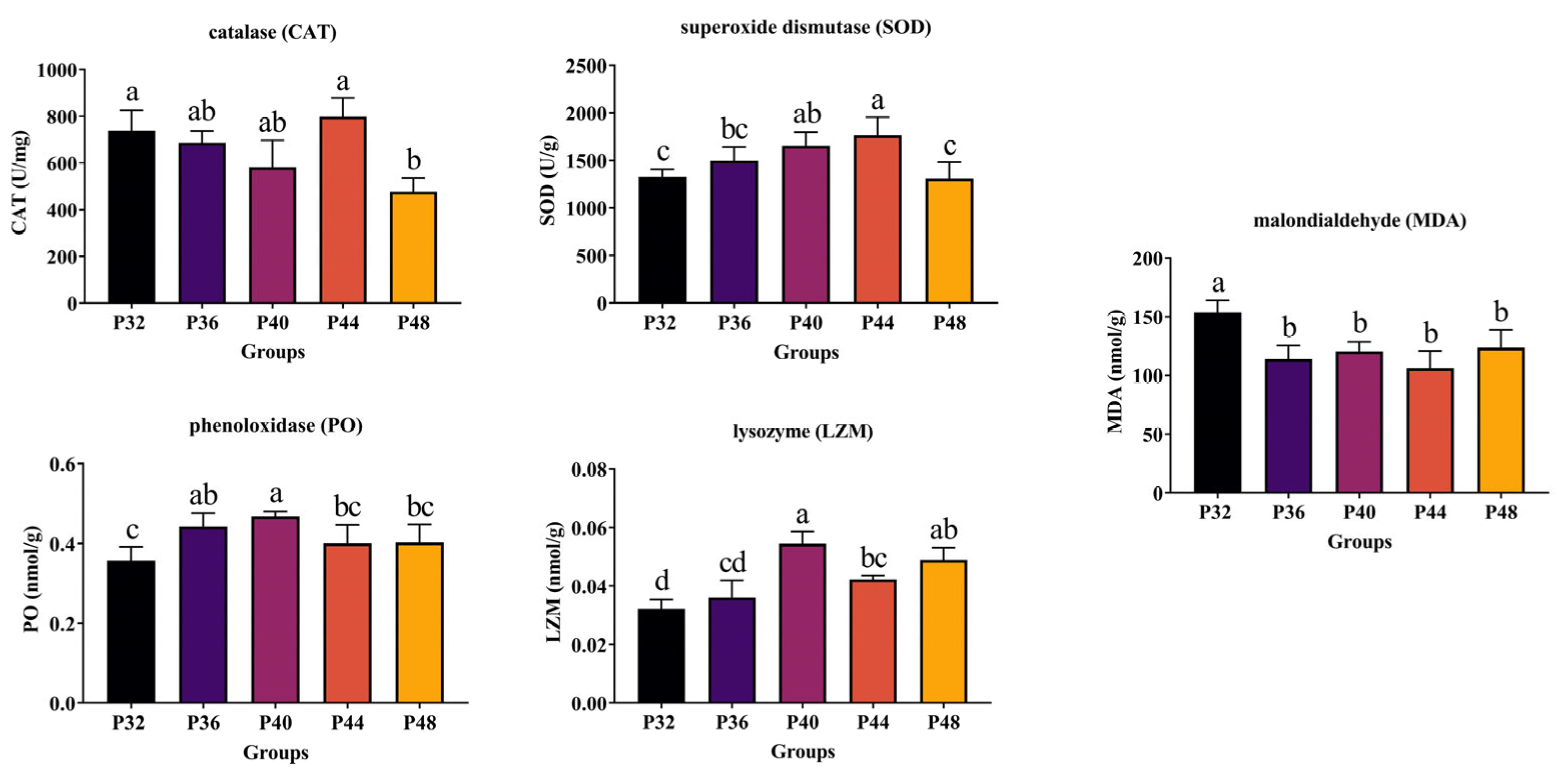 Animals 14 00372 g002