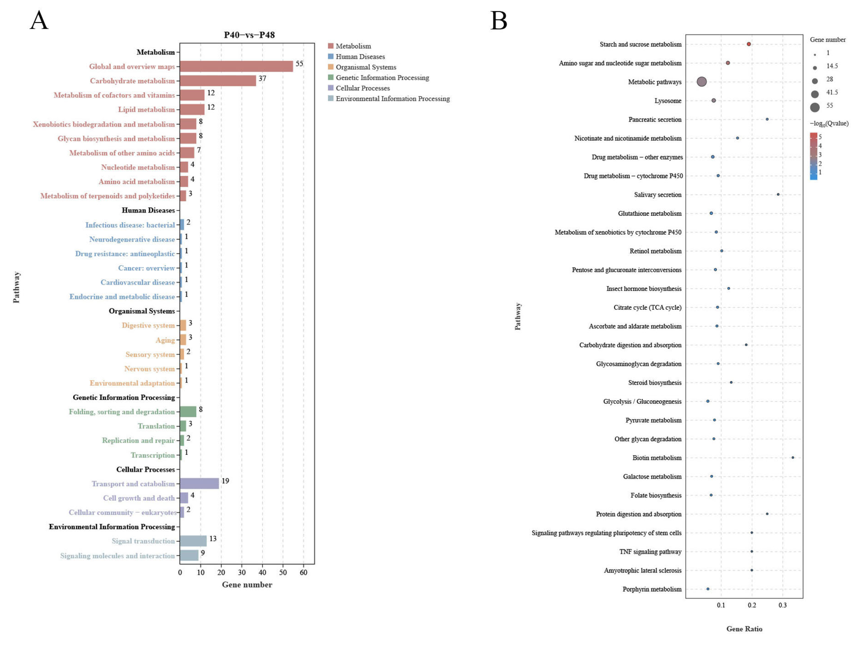 Animals 14 00372 g009