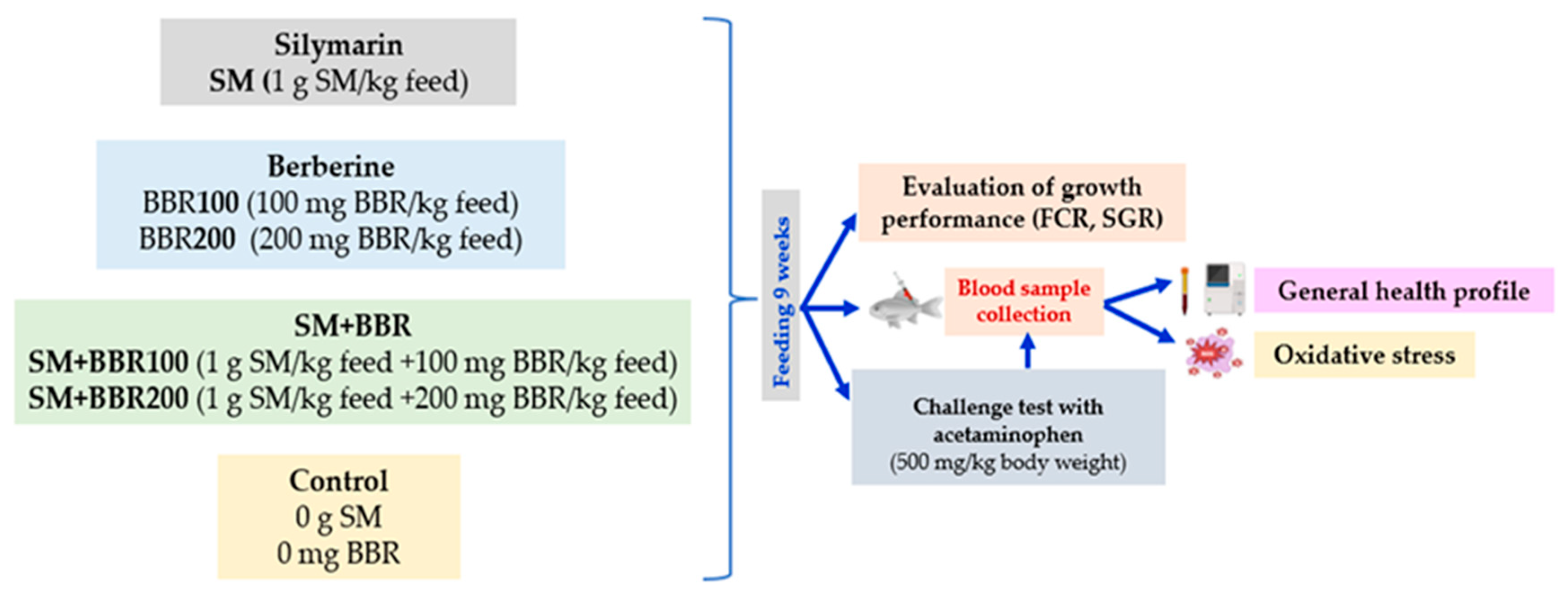 Animals 14 00373 g001