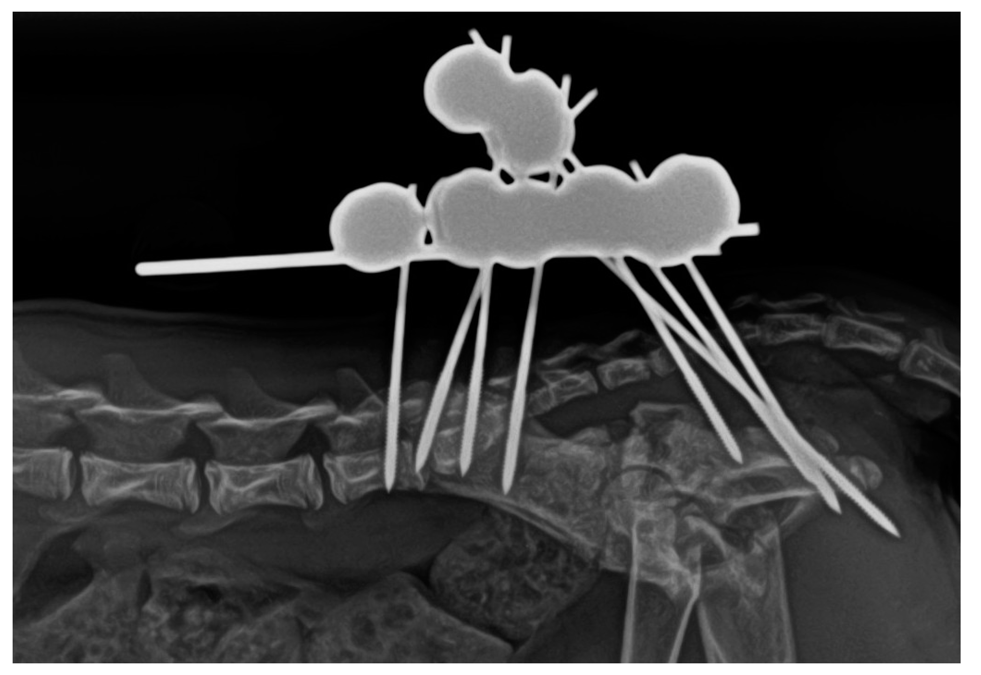 Animals 14 00379 g004 Animals 14 00379 g004