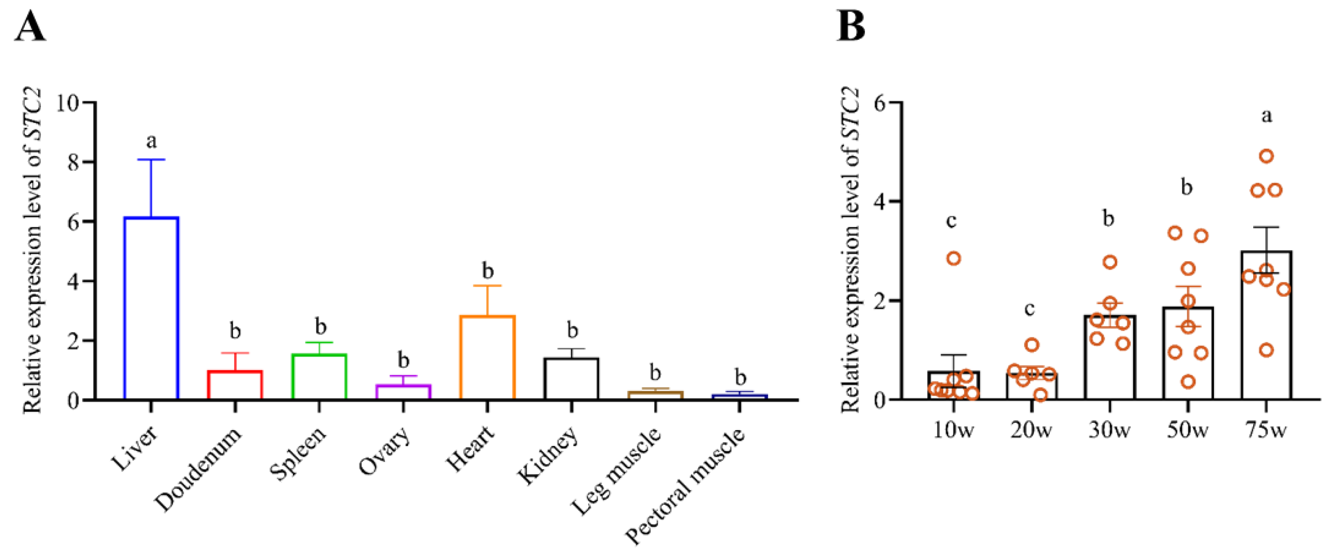 Animals 14 00383 g002