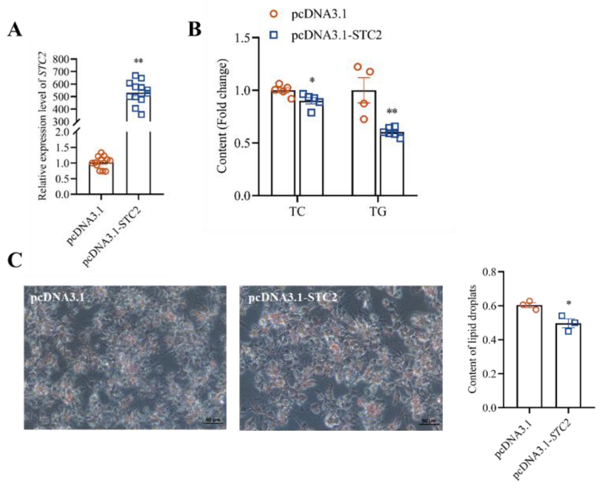 Animals 14 00383 g003