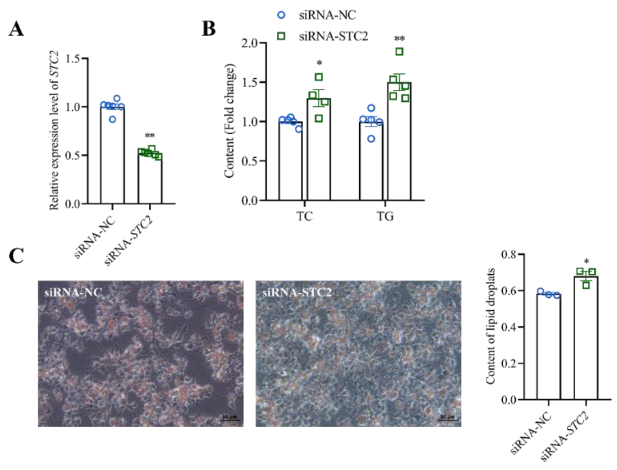 Animals 14 00383 g005