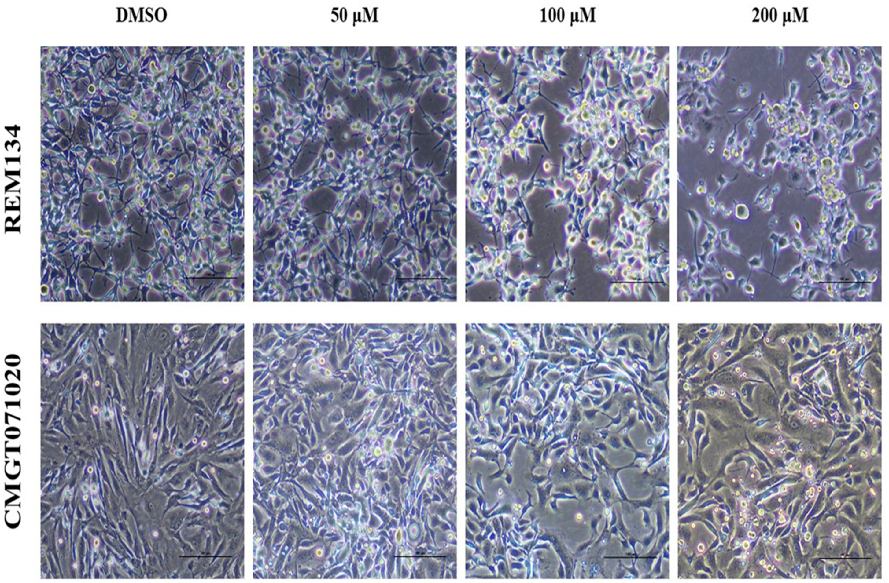 Animals 14 00386 g003 Animals 14 00386 g003