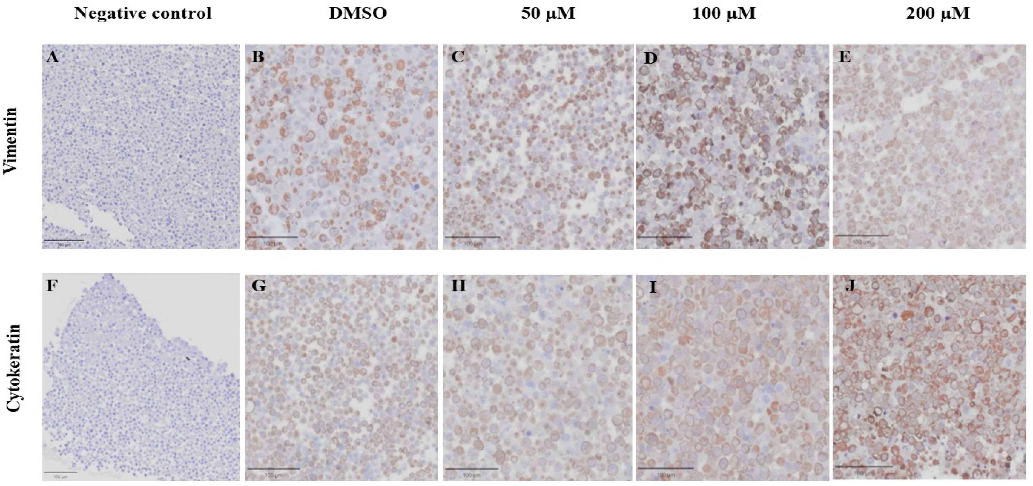 Animals 14 00386 g011 Animals 14 00386 g011