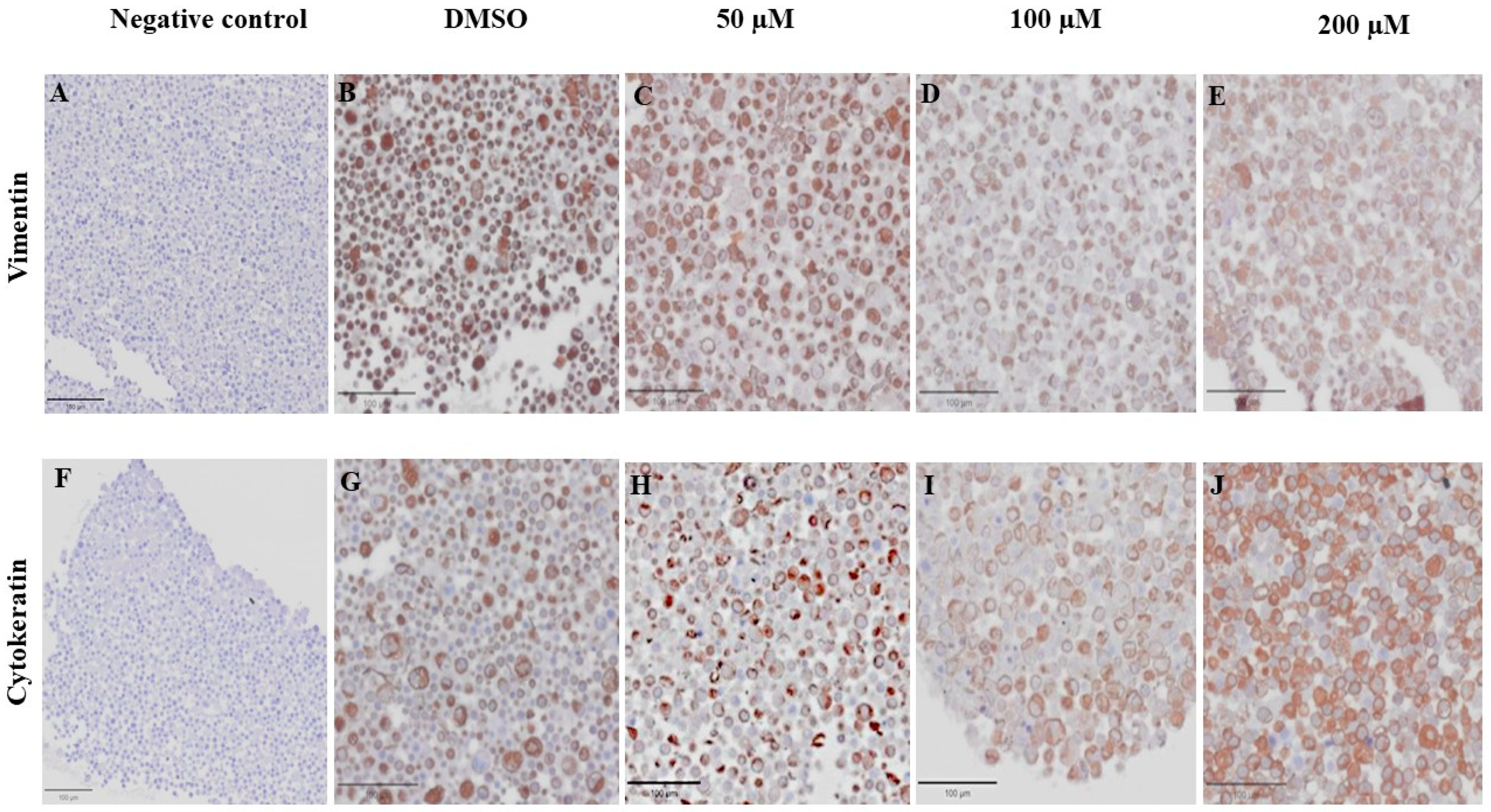 Animals 14 00386 g012 Animals 14 00386 g012