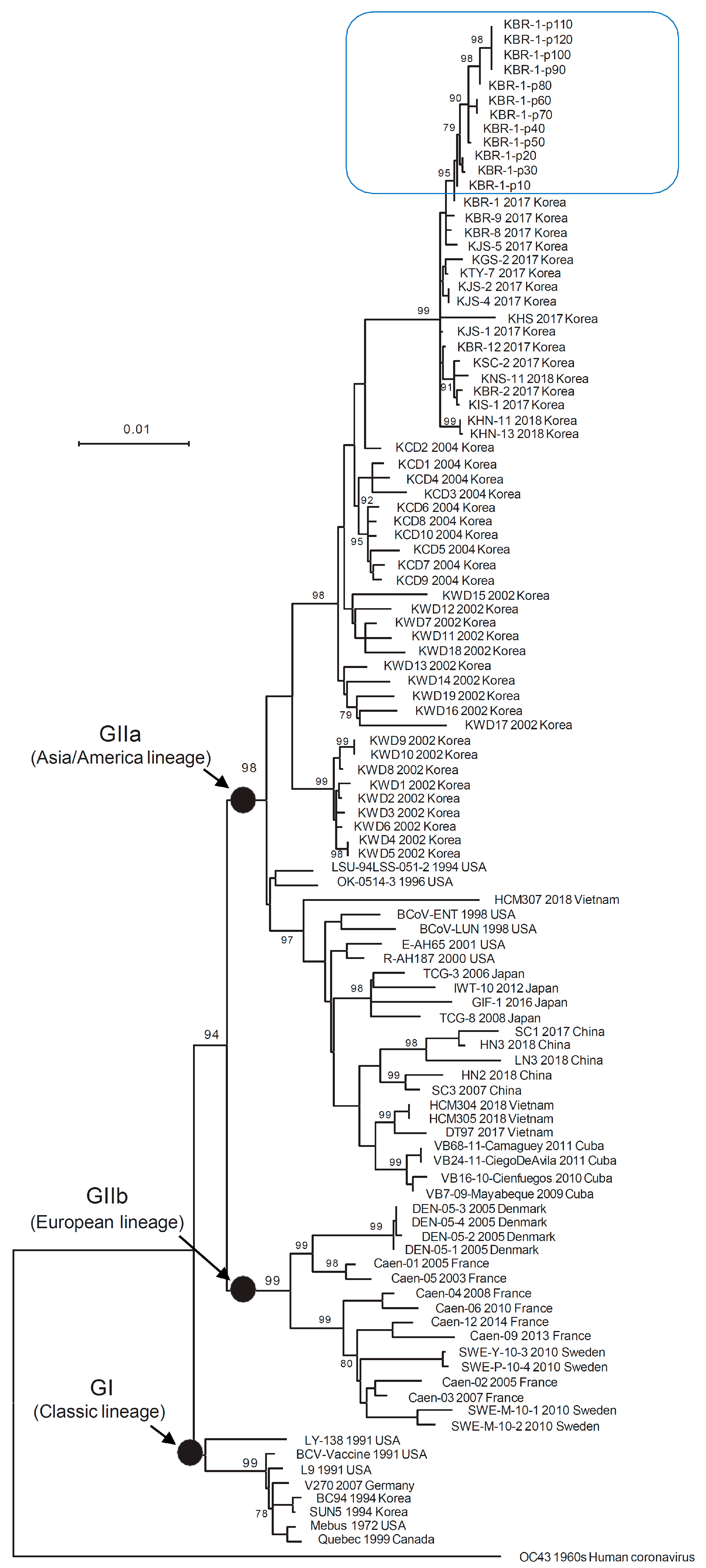 Animals 14 00389 g002