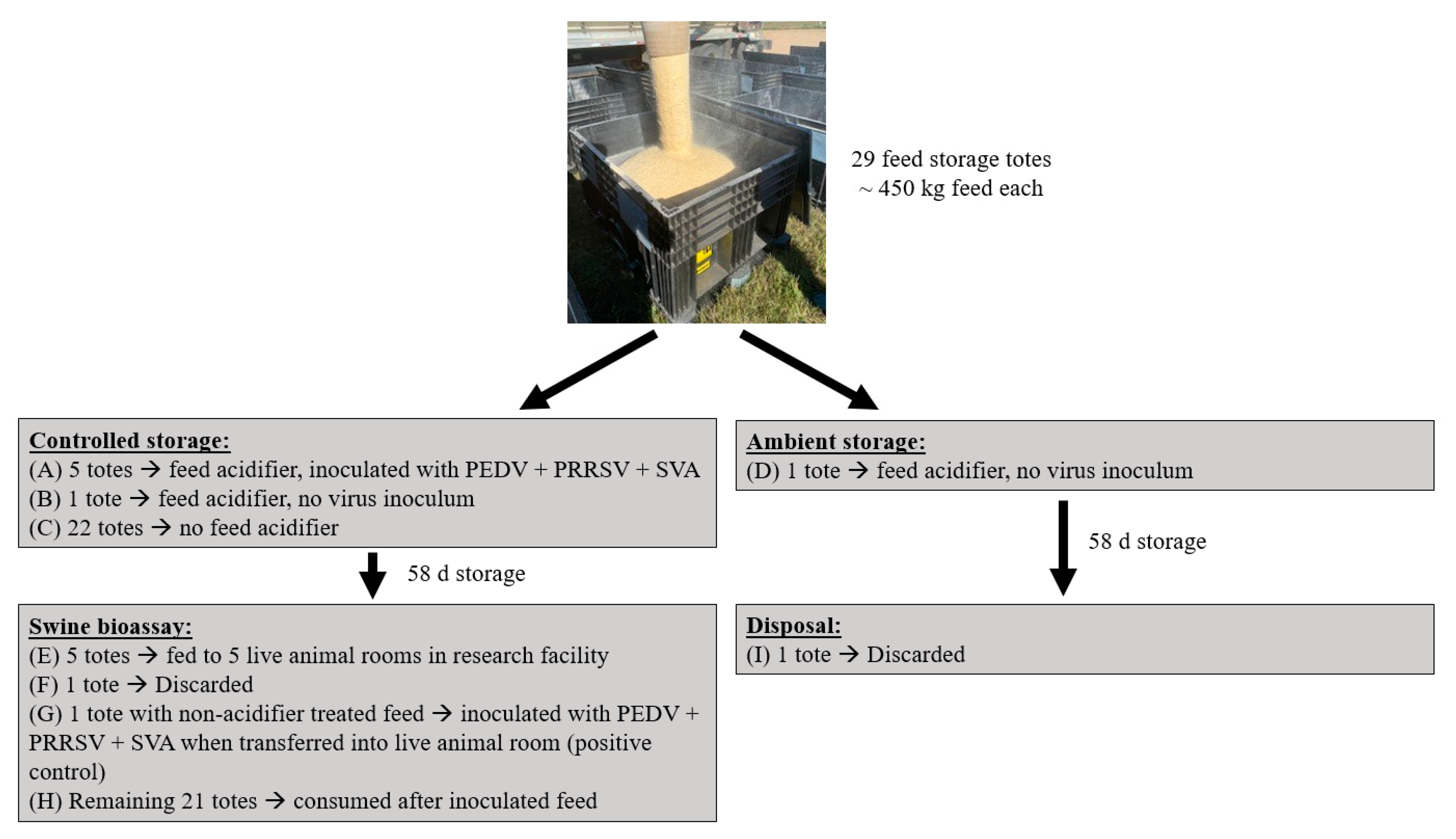 Animals 14 00393 g001