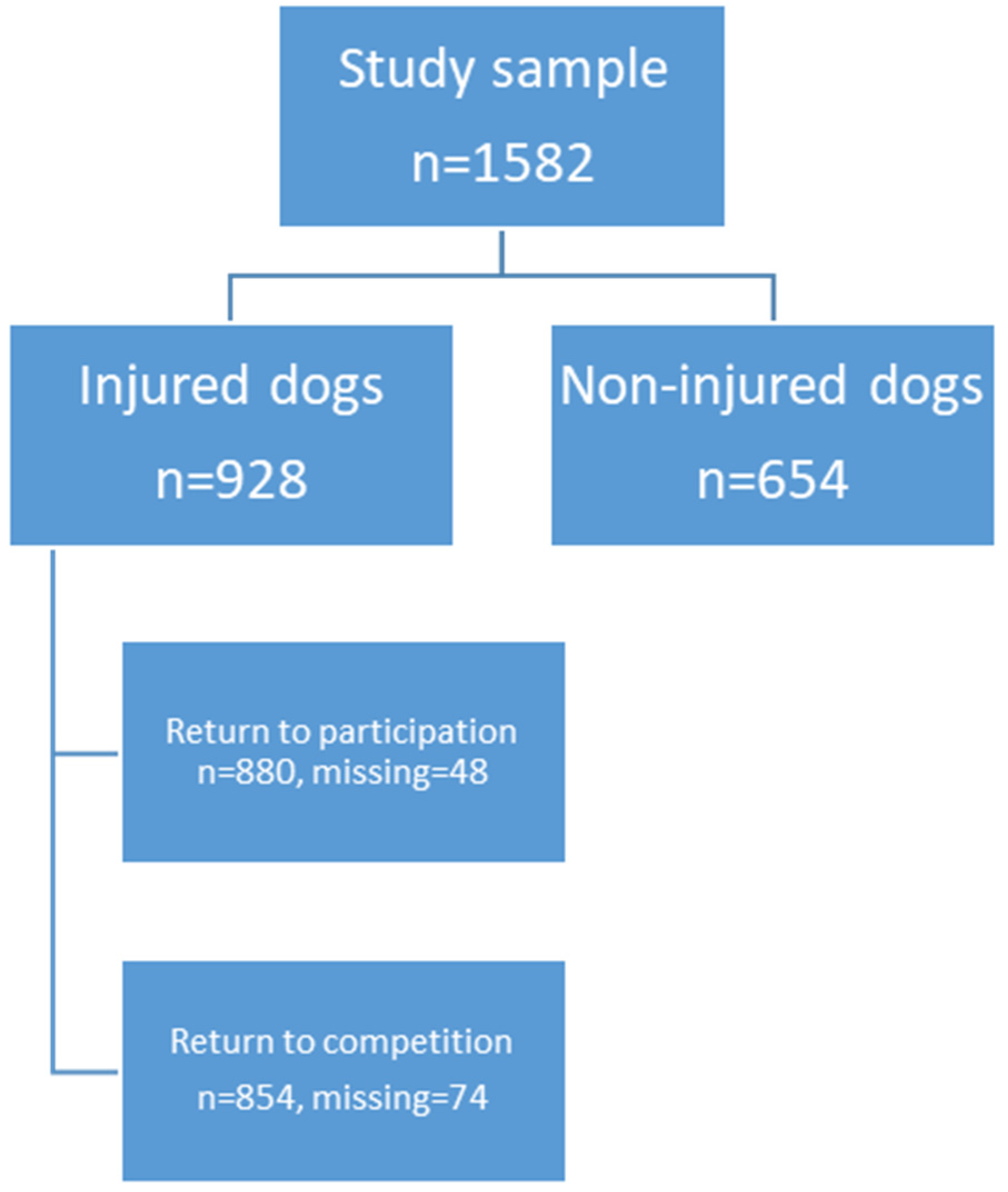 Animals 14 00398 g001