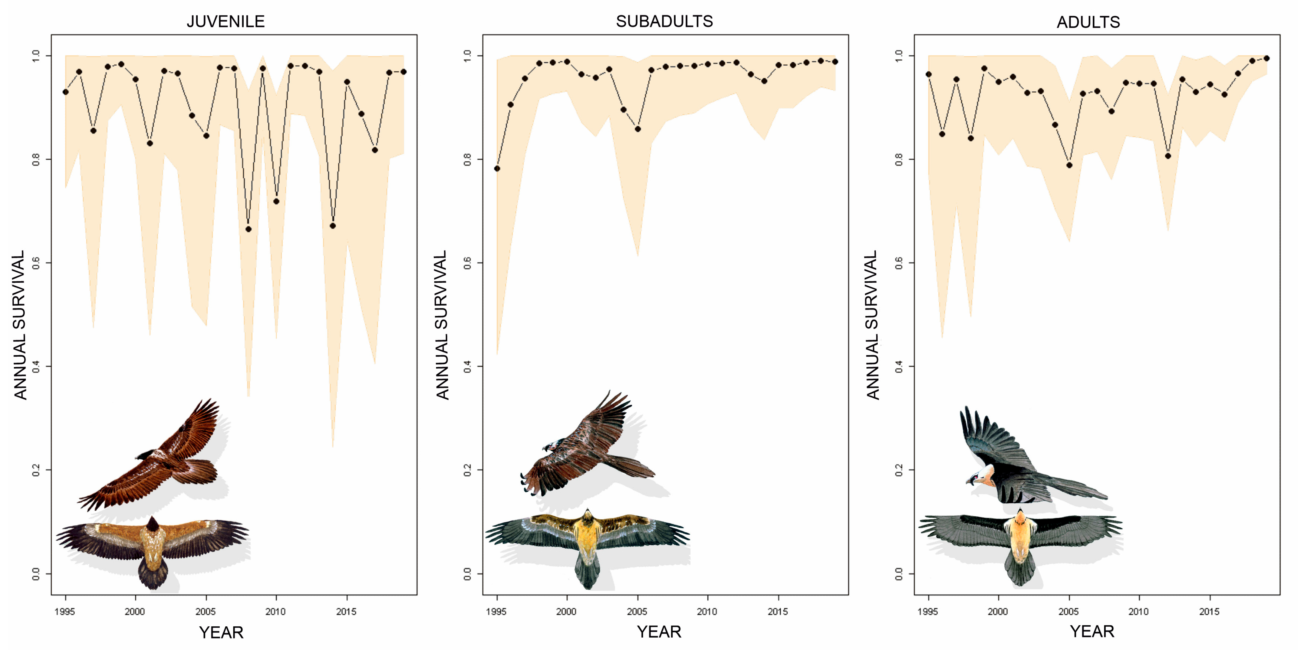 Animals 14 00403 g002