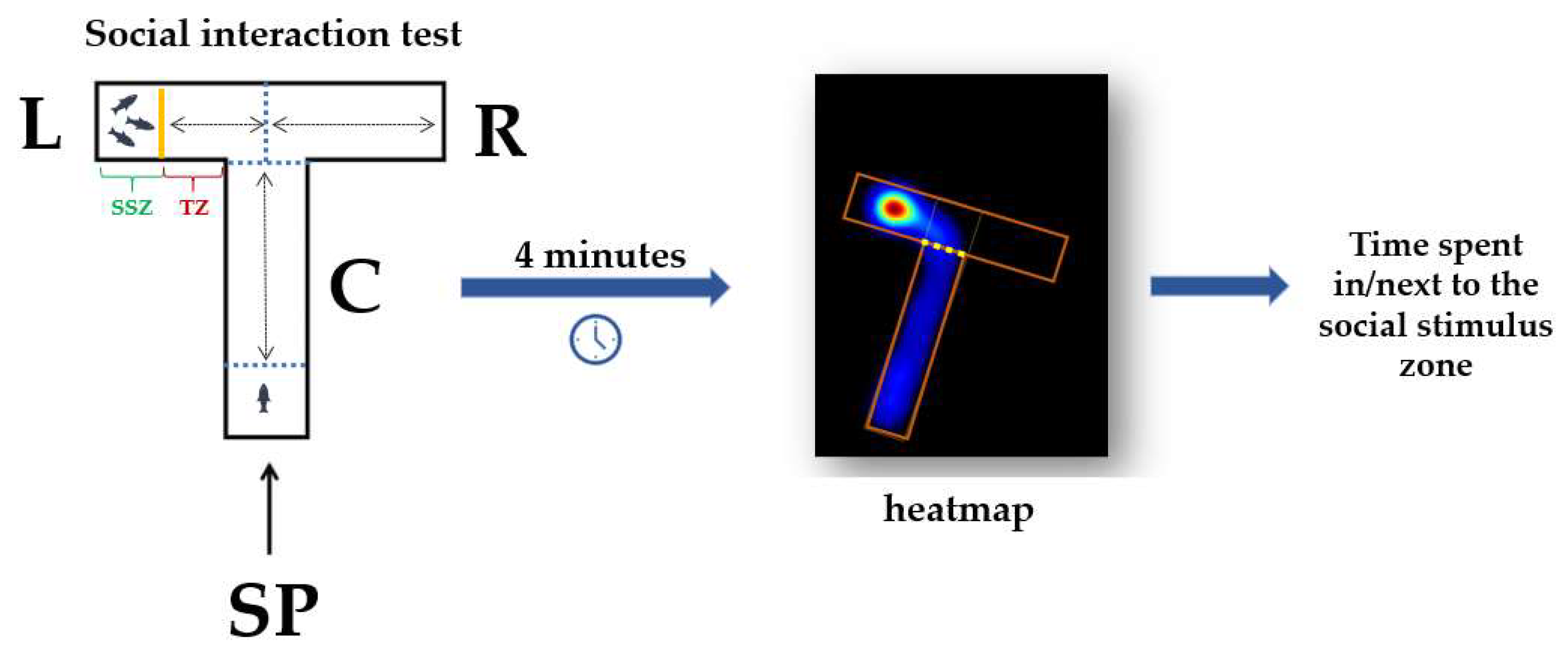 Animals 14 00405 g003