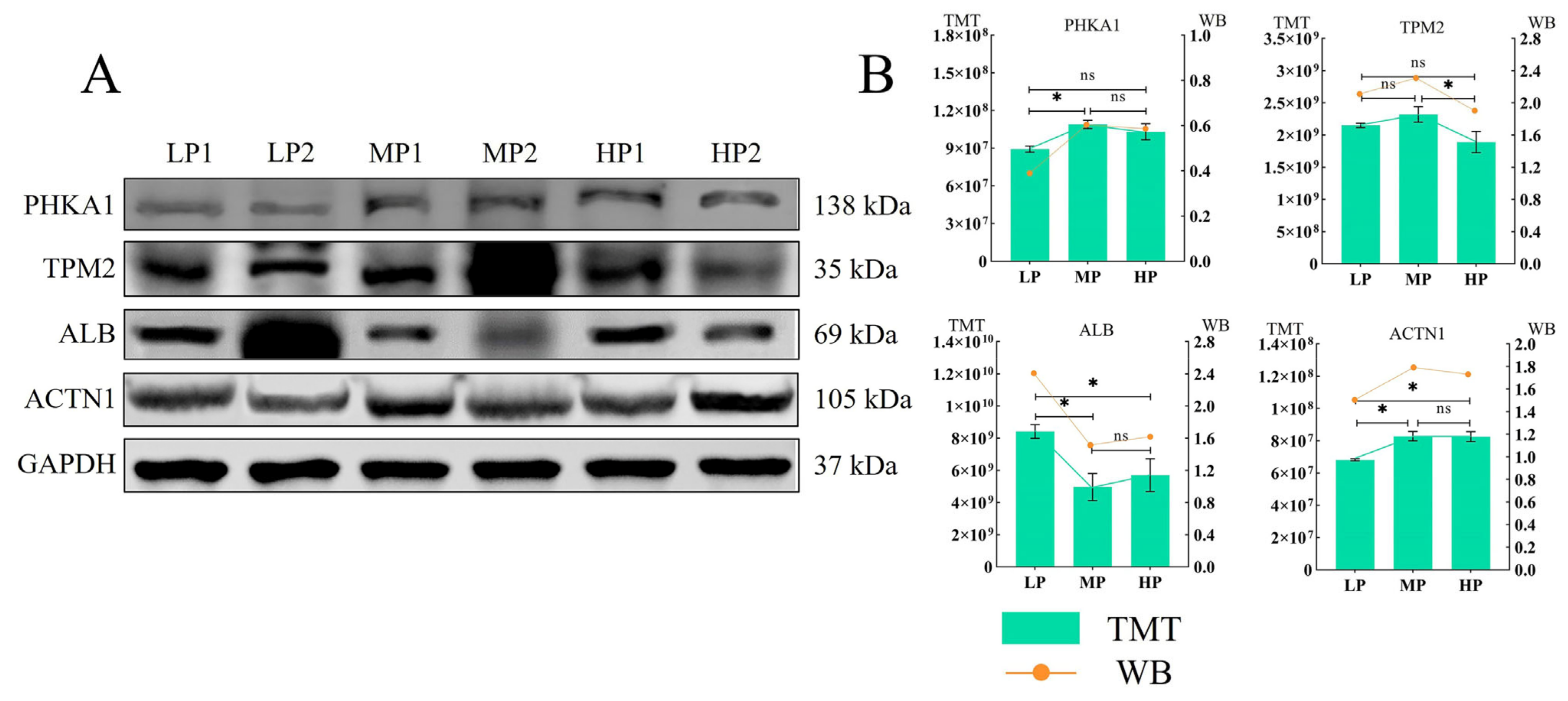 Animals 14 00406 g007 Animals 14 00406 g007