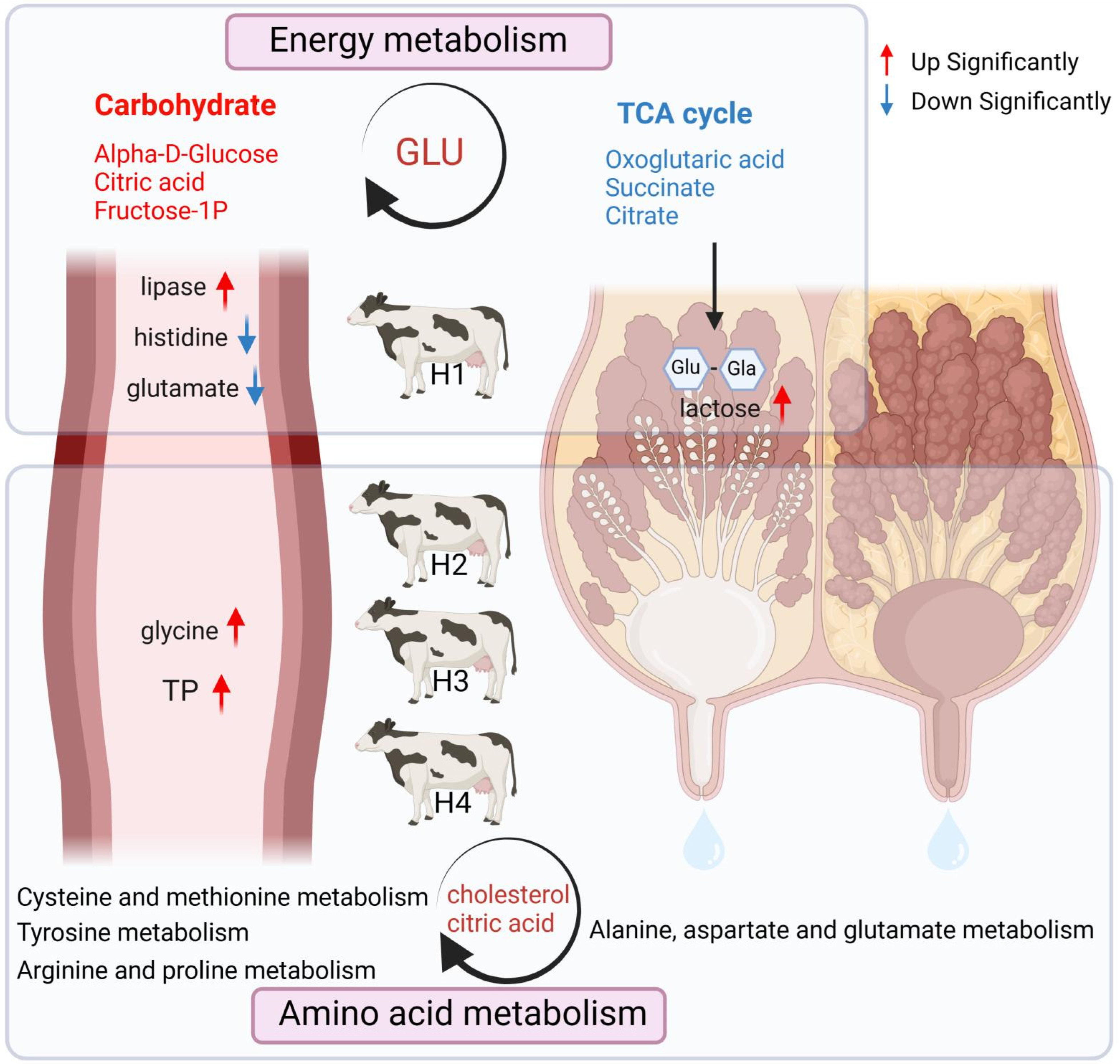 Animals 14 00407 g006 Animals 14 00407 g006