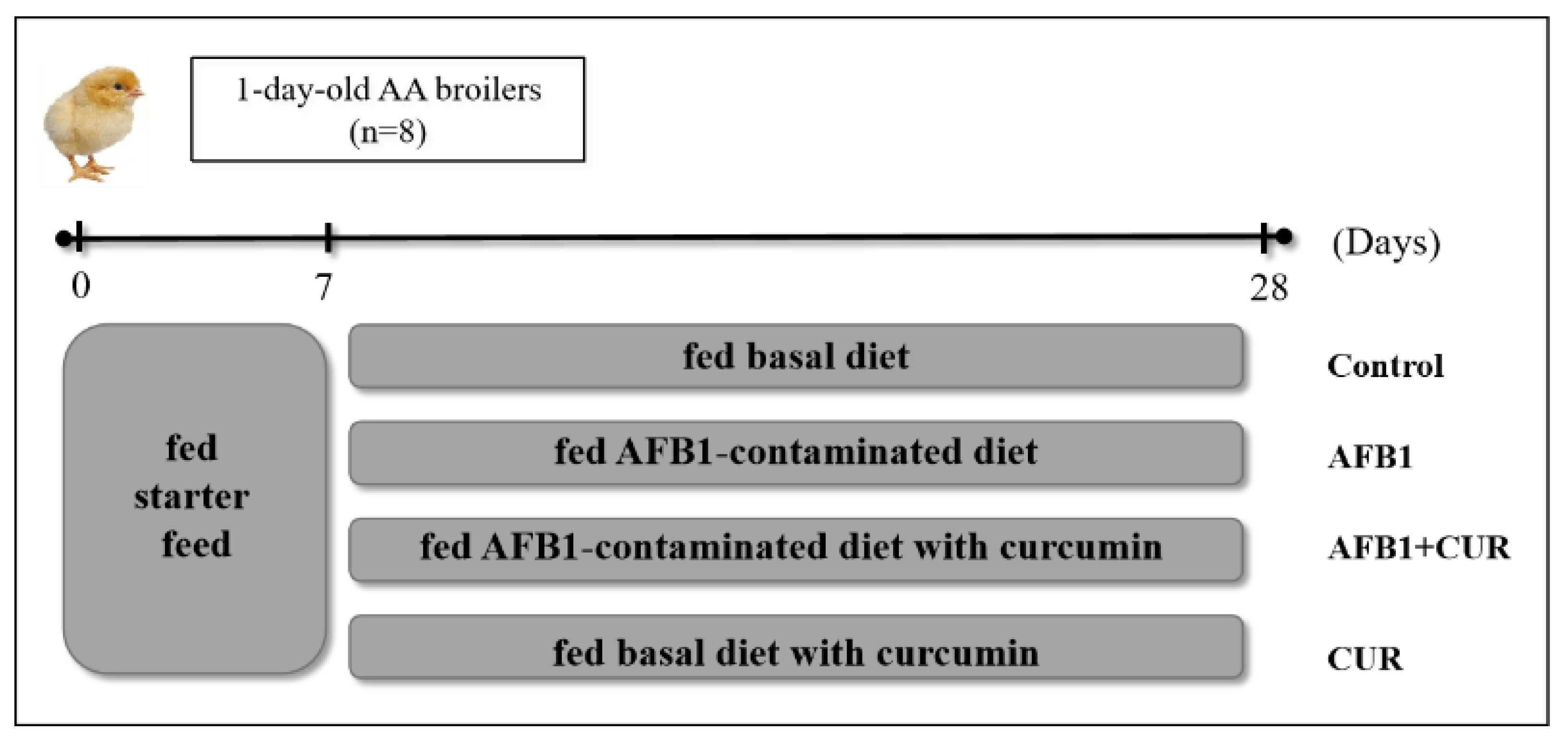 Animals 14 00409 g001