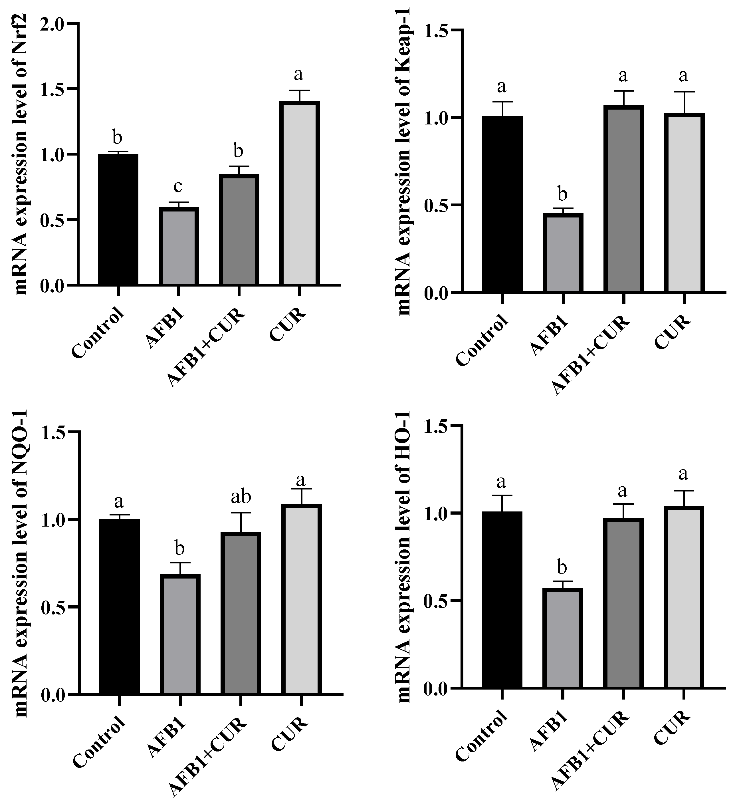 Animals 14 00409 g008