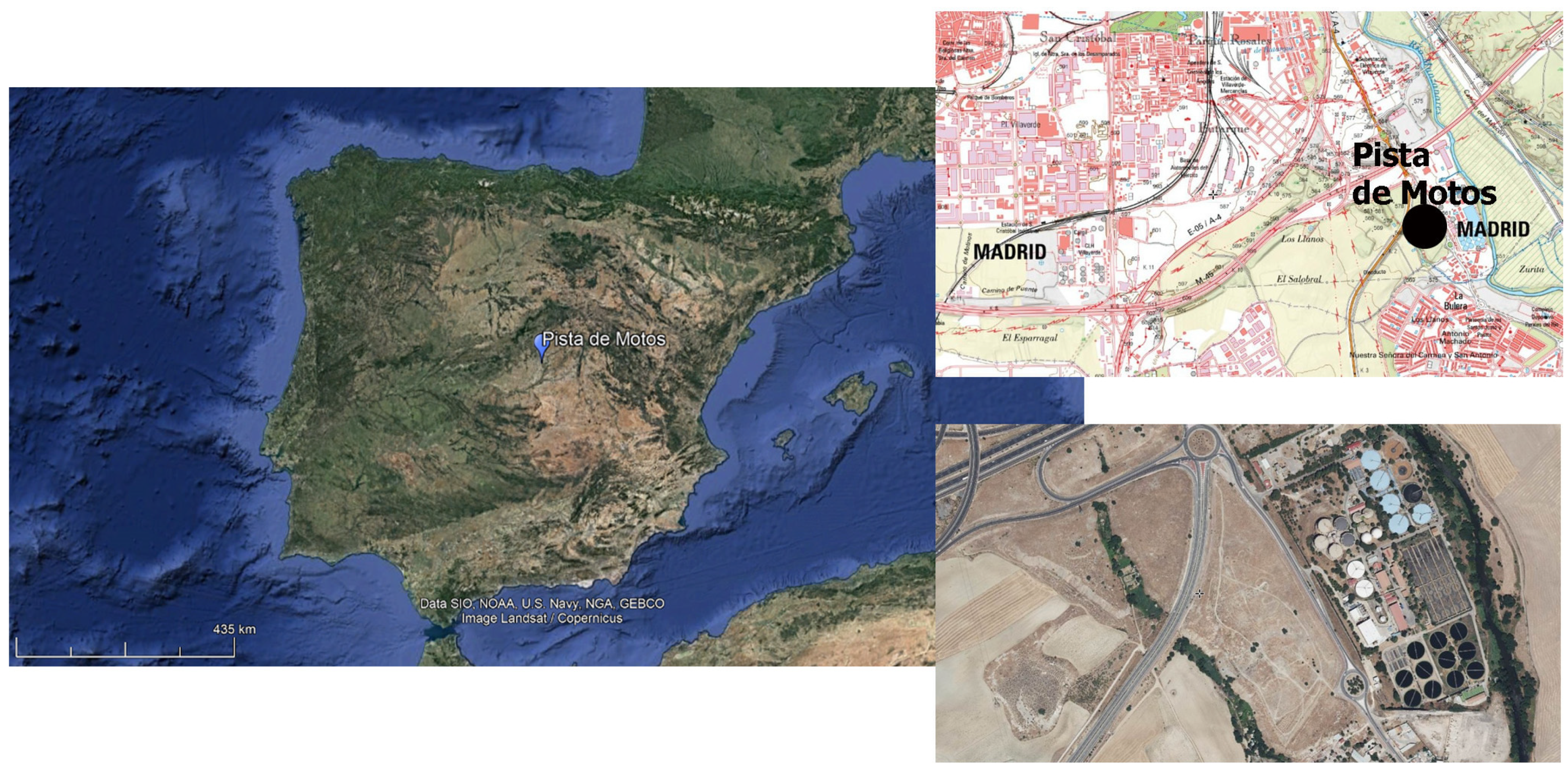 Animals 14 00413 g001