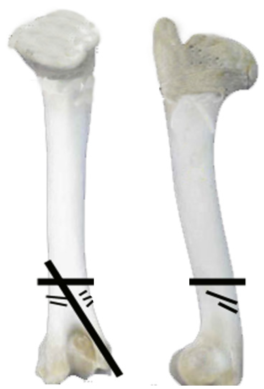 Animals 14 00413 g008