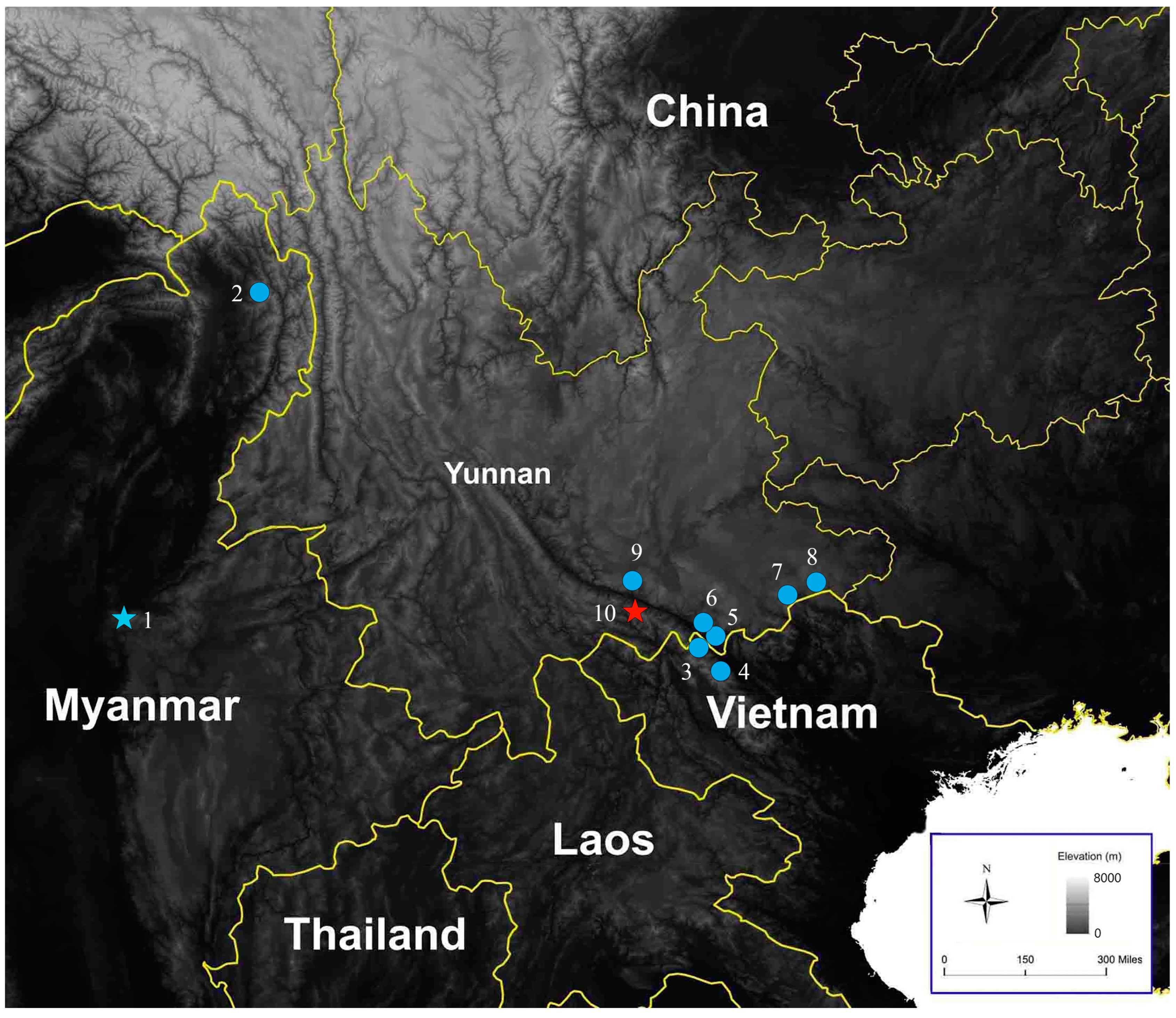 Animals 14 00421 g005