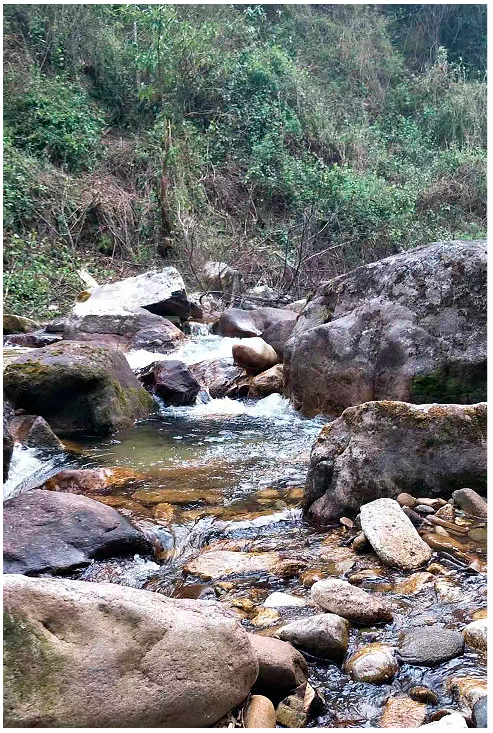 Animals 14 00421 g006