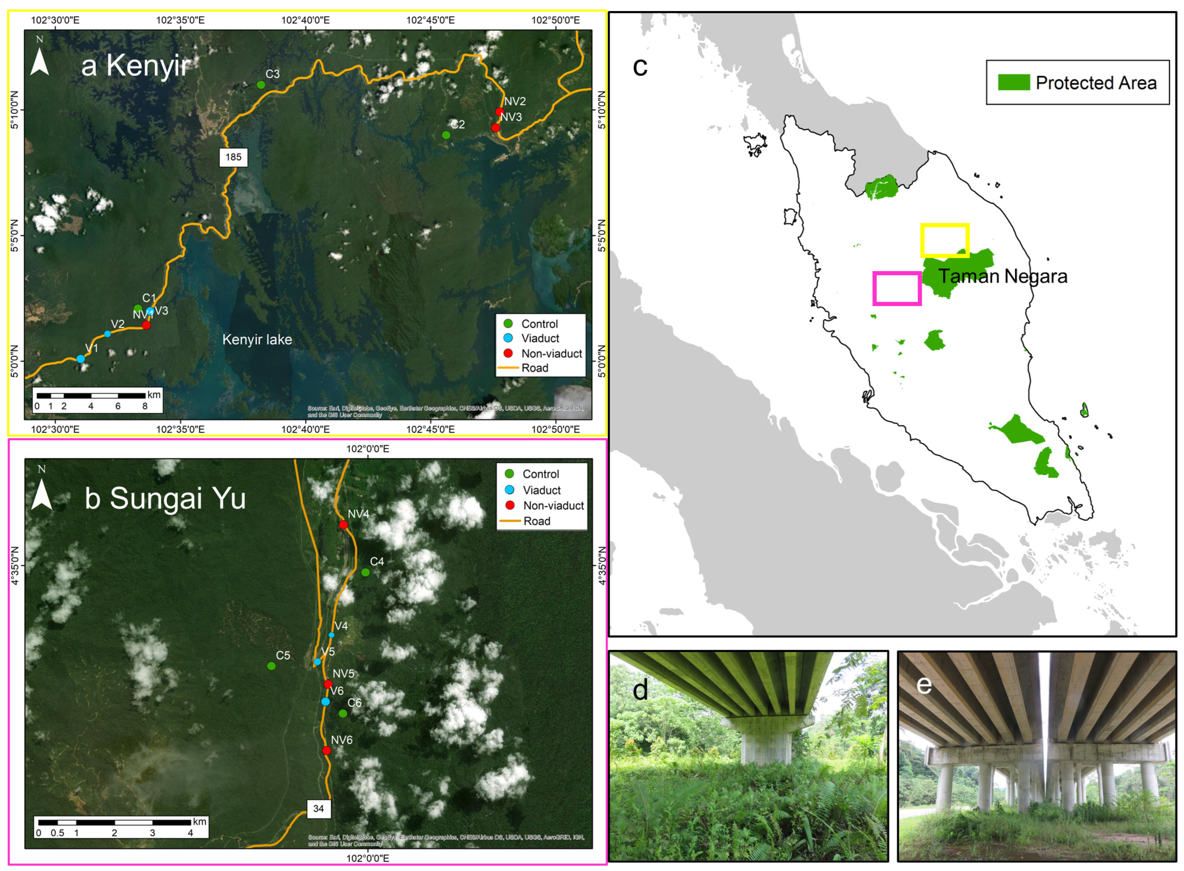 Animals 14 00426 g001