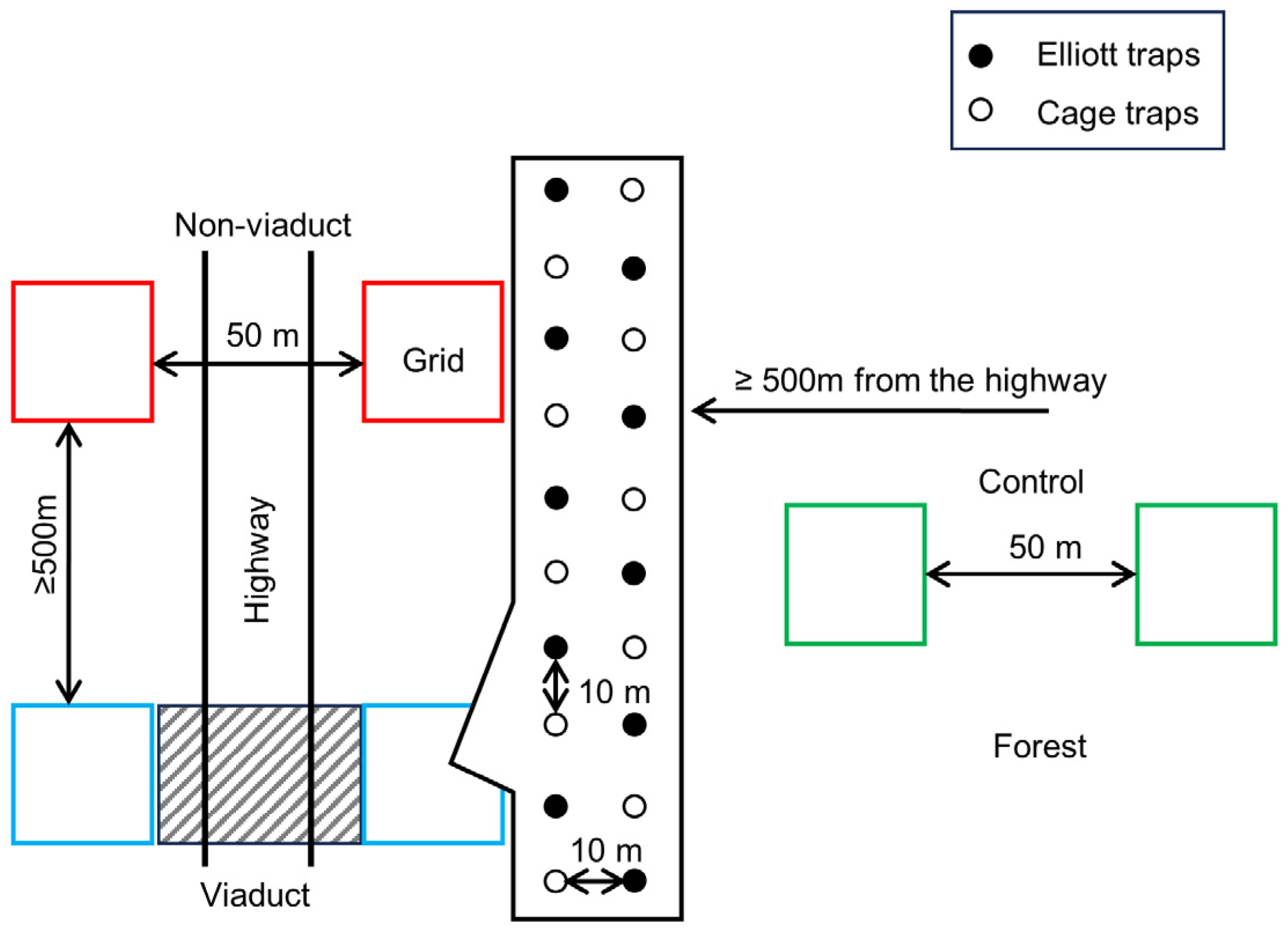 Animals 14 00426 g002
