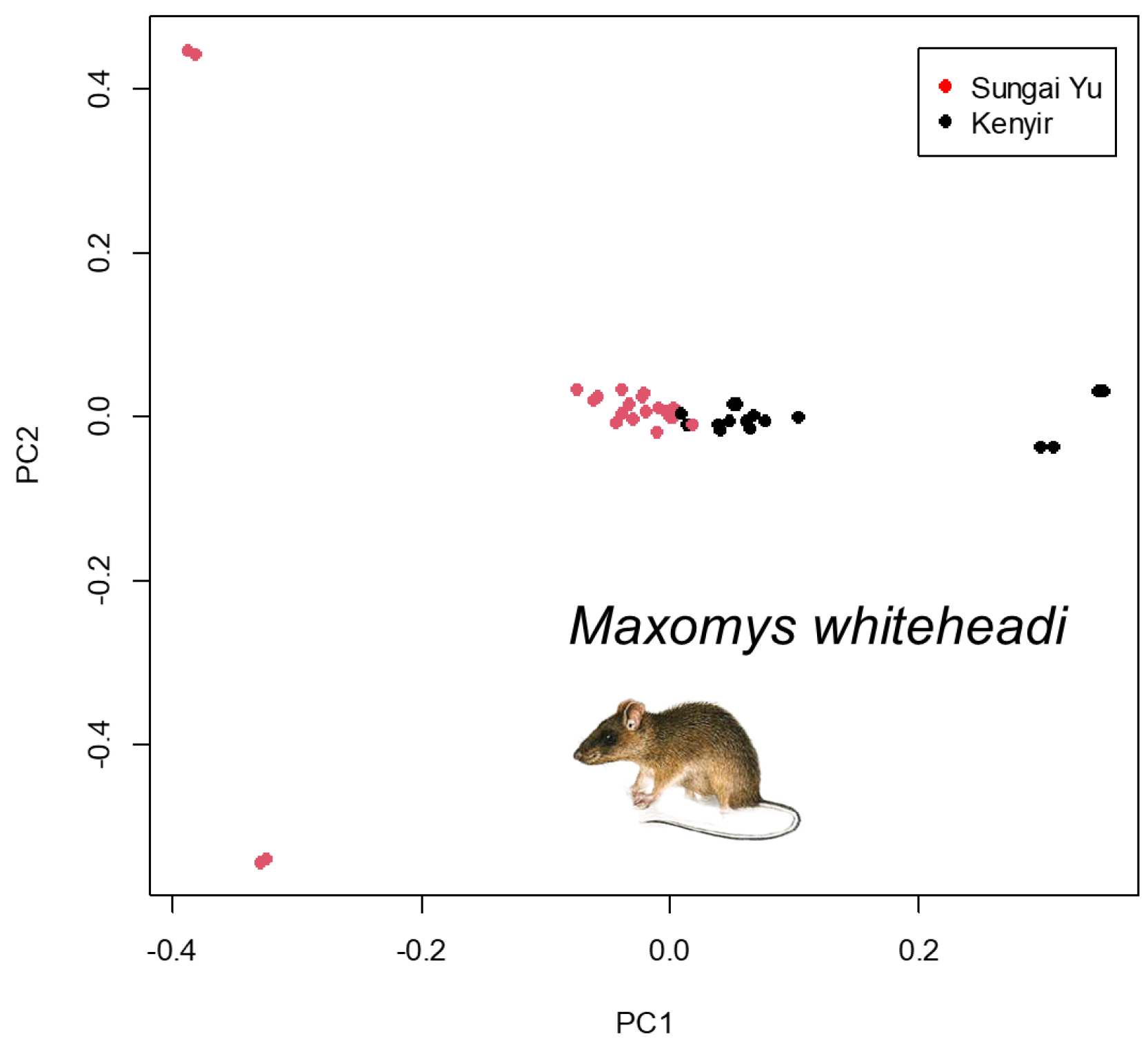 Animals 14 00426 g005