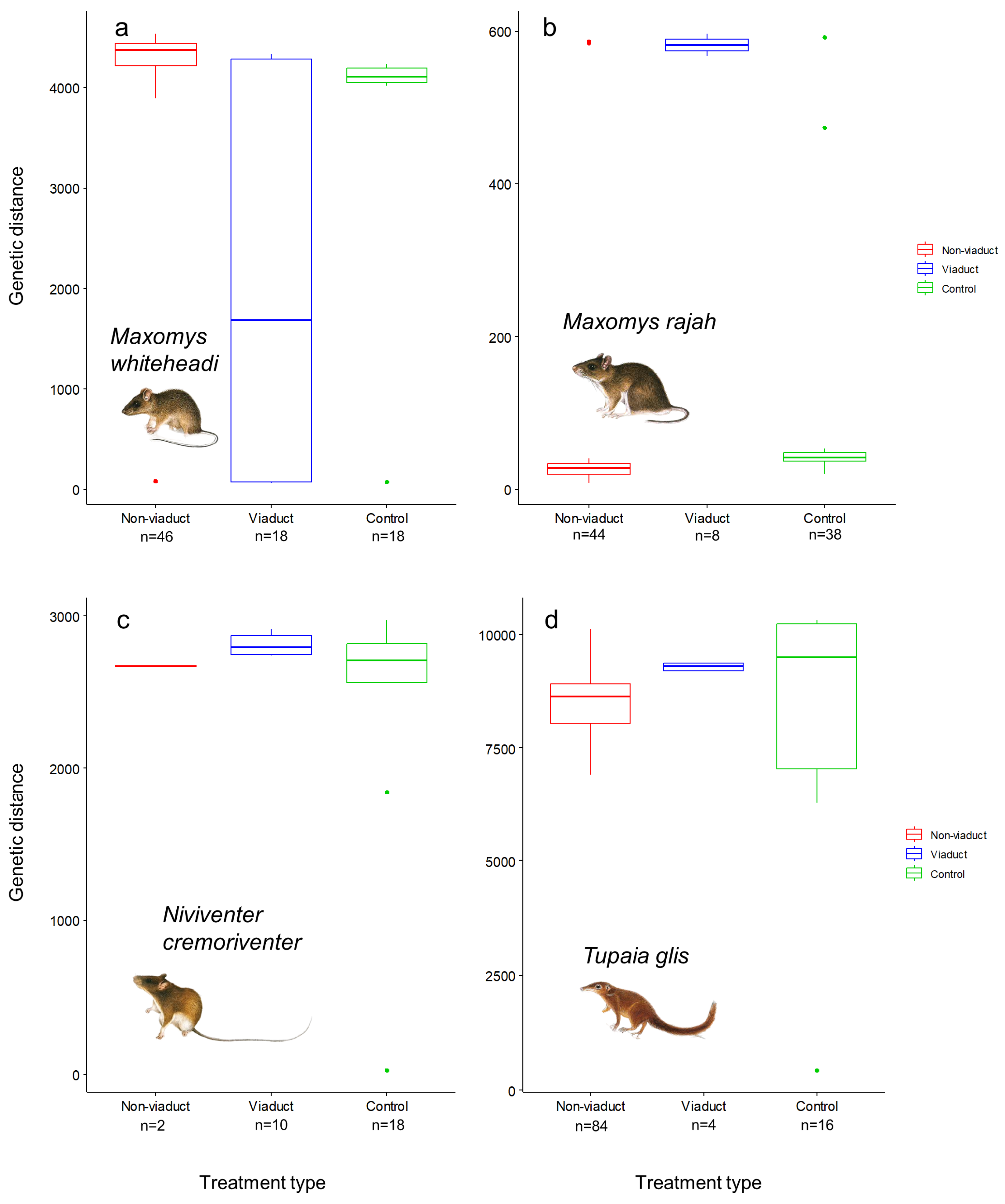 Animals 14 00426 g006