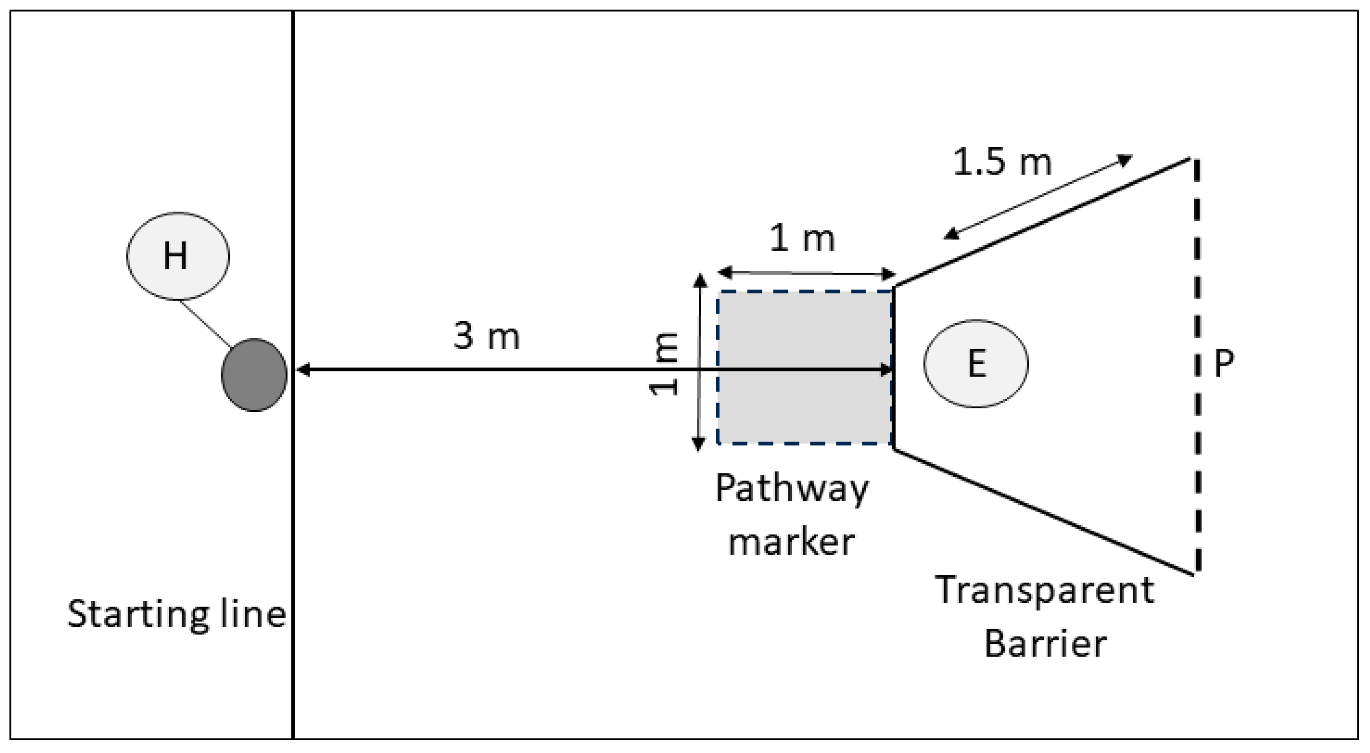 Animals 14 00428 g002
