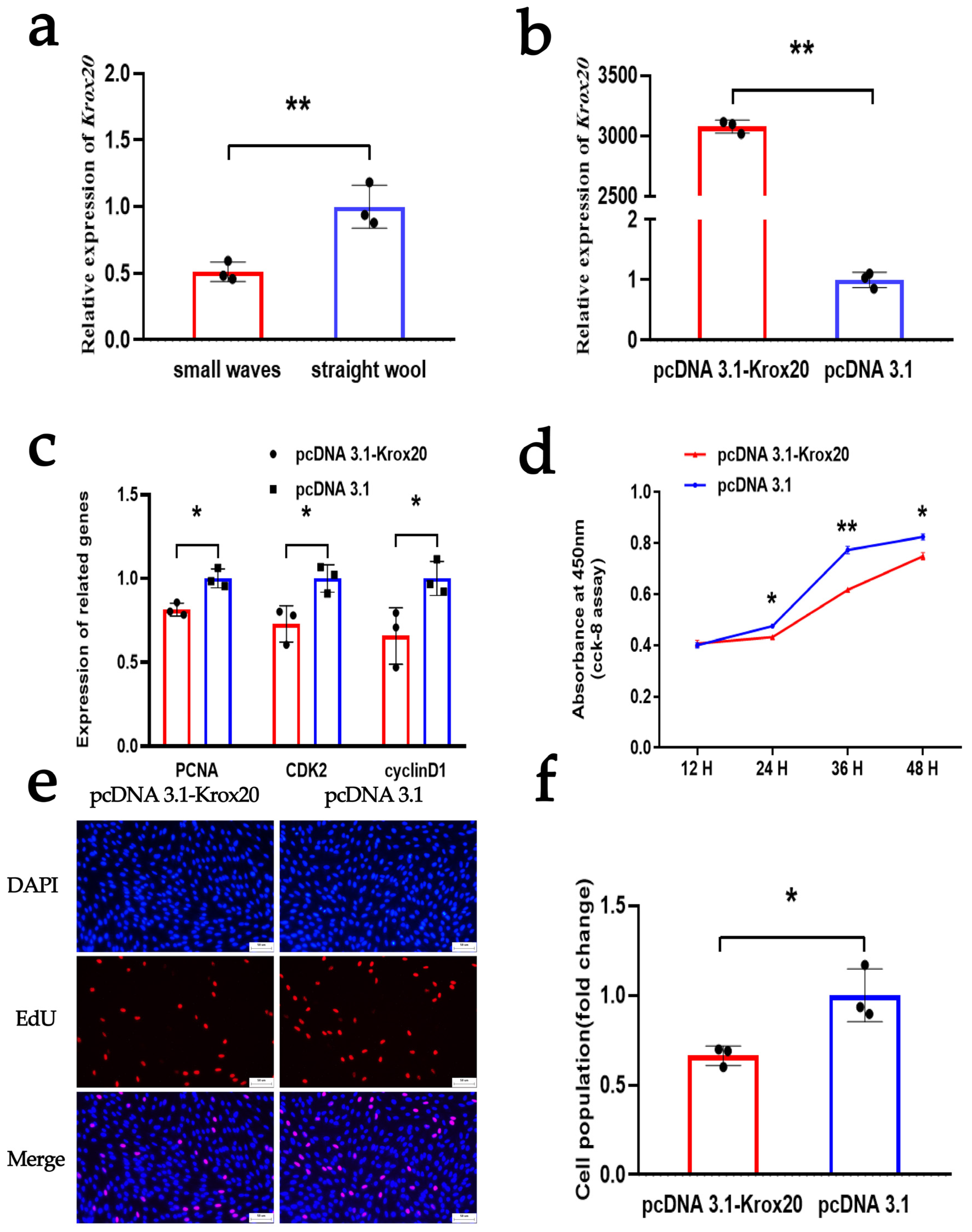 Animals 14 00429 g005