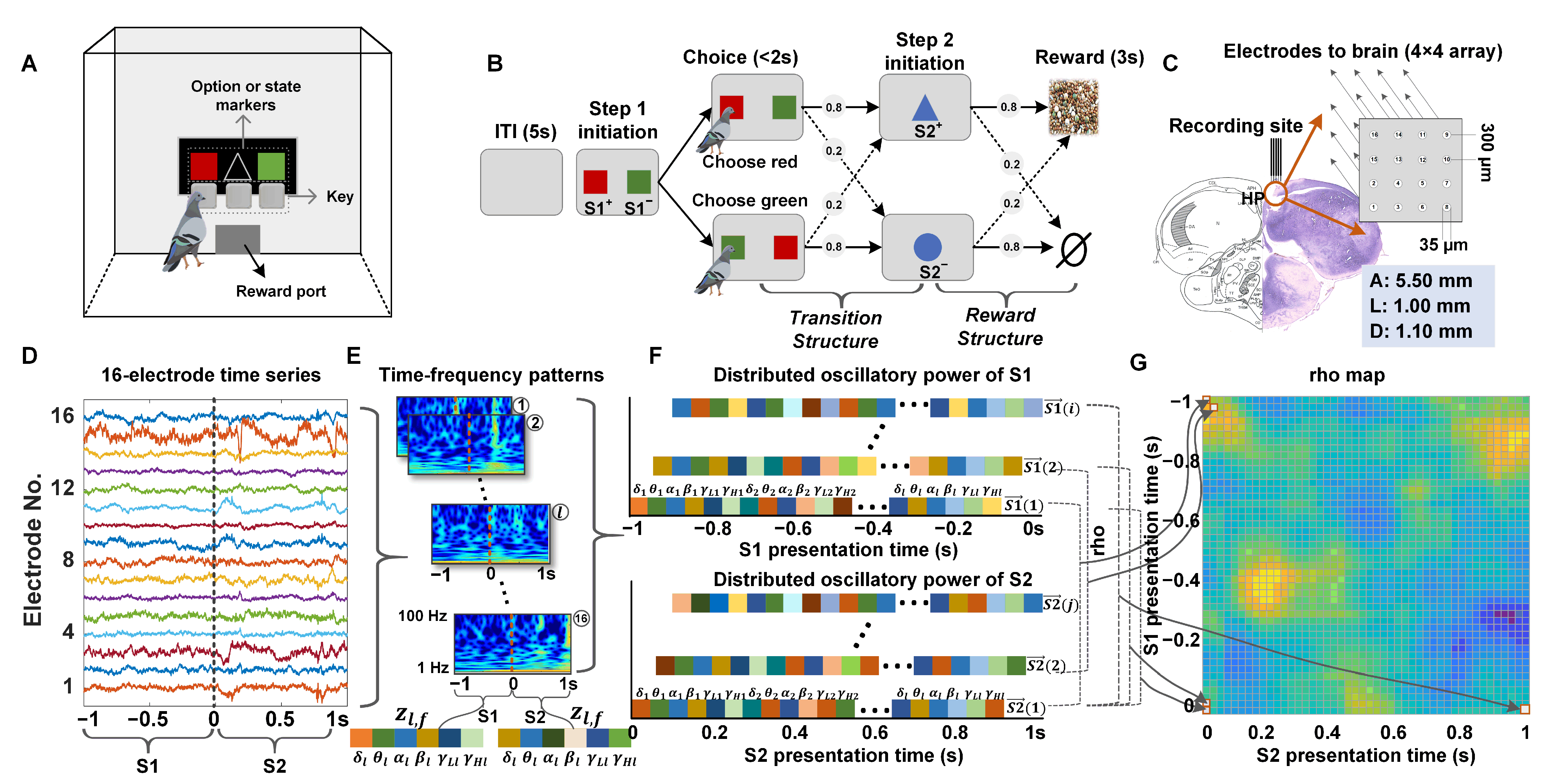 Animals 14 00431 g001