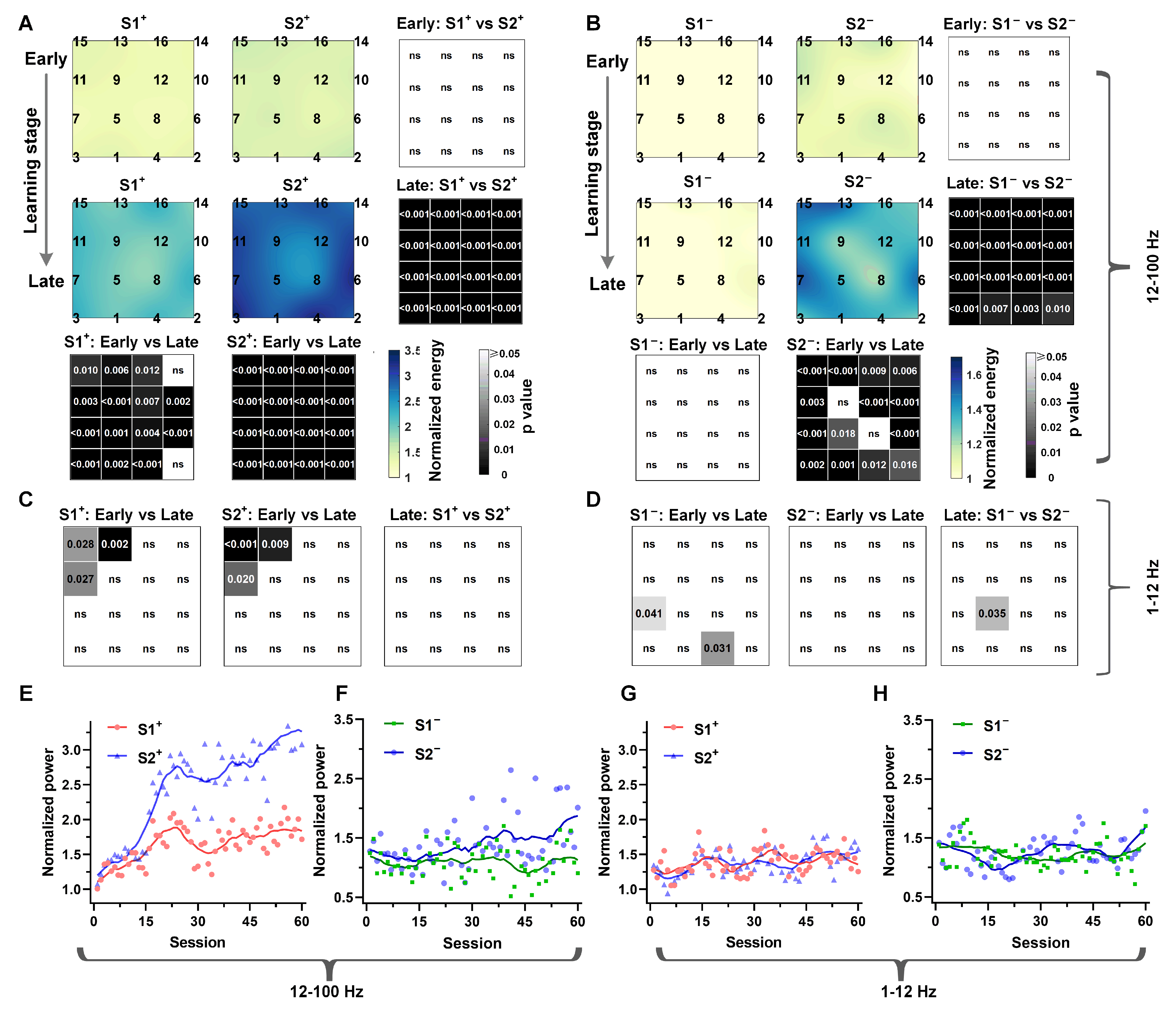 Animals 14 00431 g003
