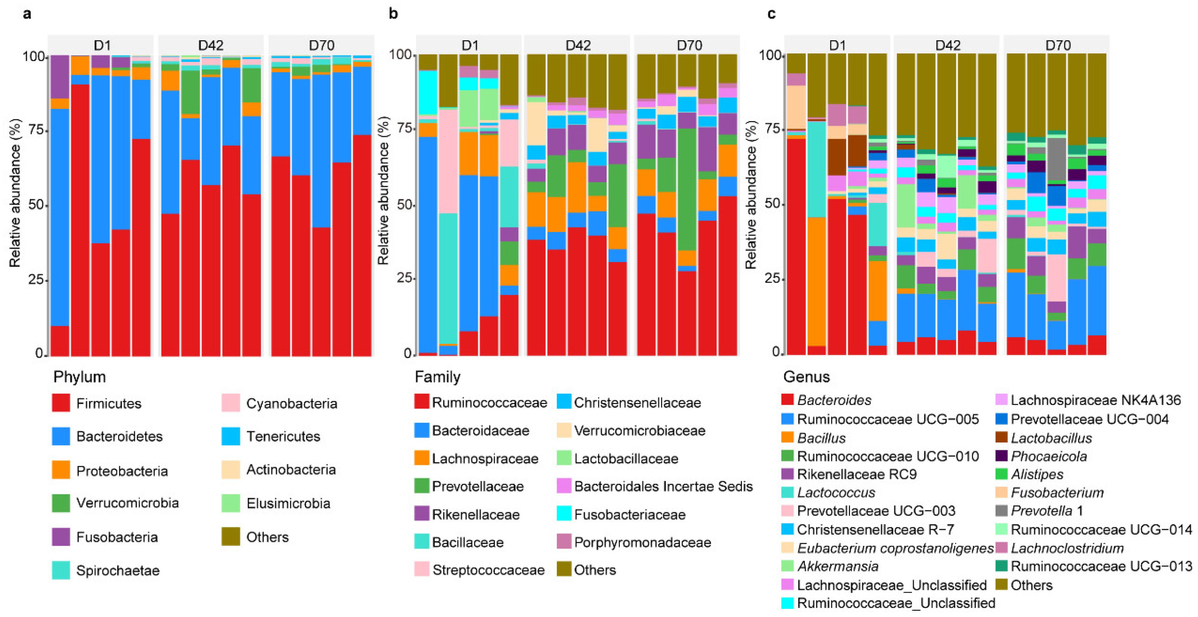 Animals 14 00432 g001