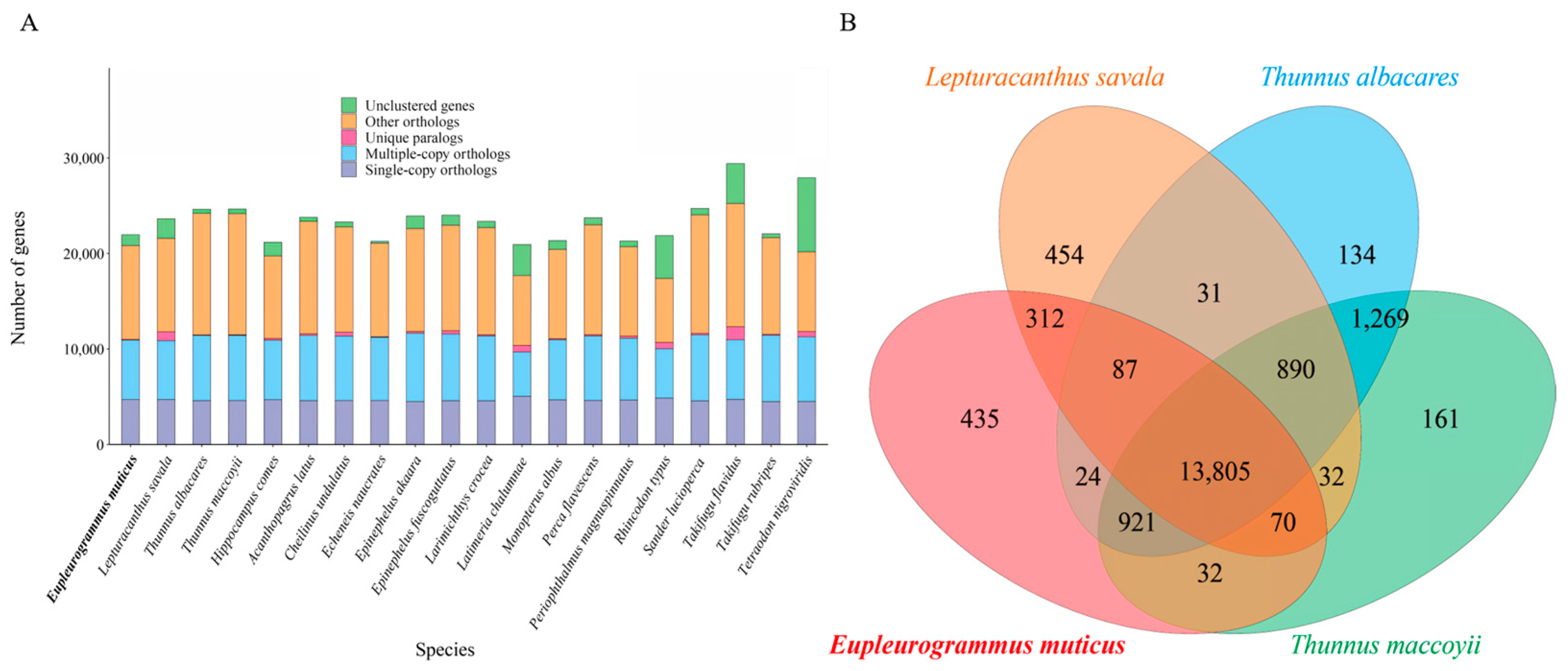 Animals 14 00434 g004