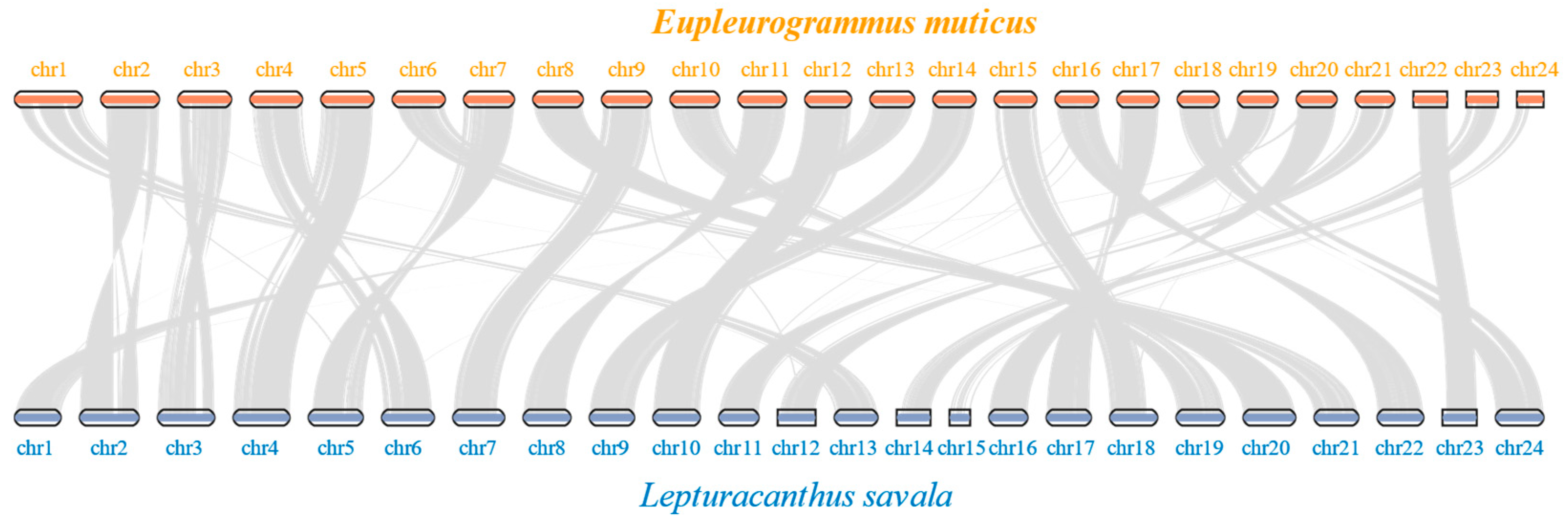 Animals 14 00434 g007