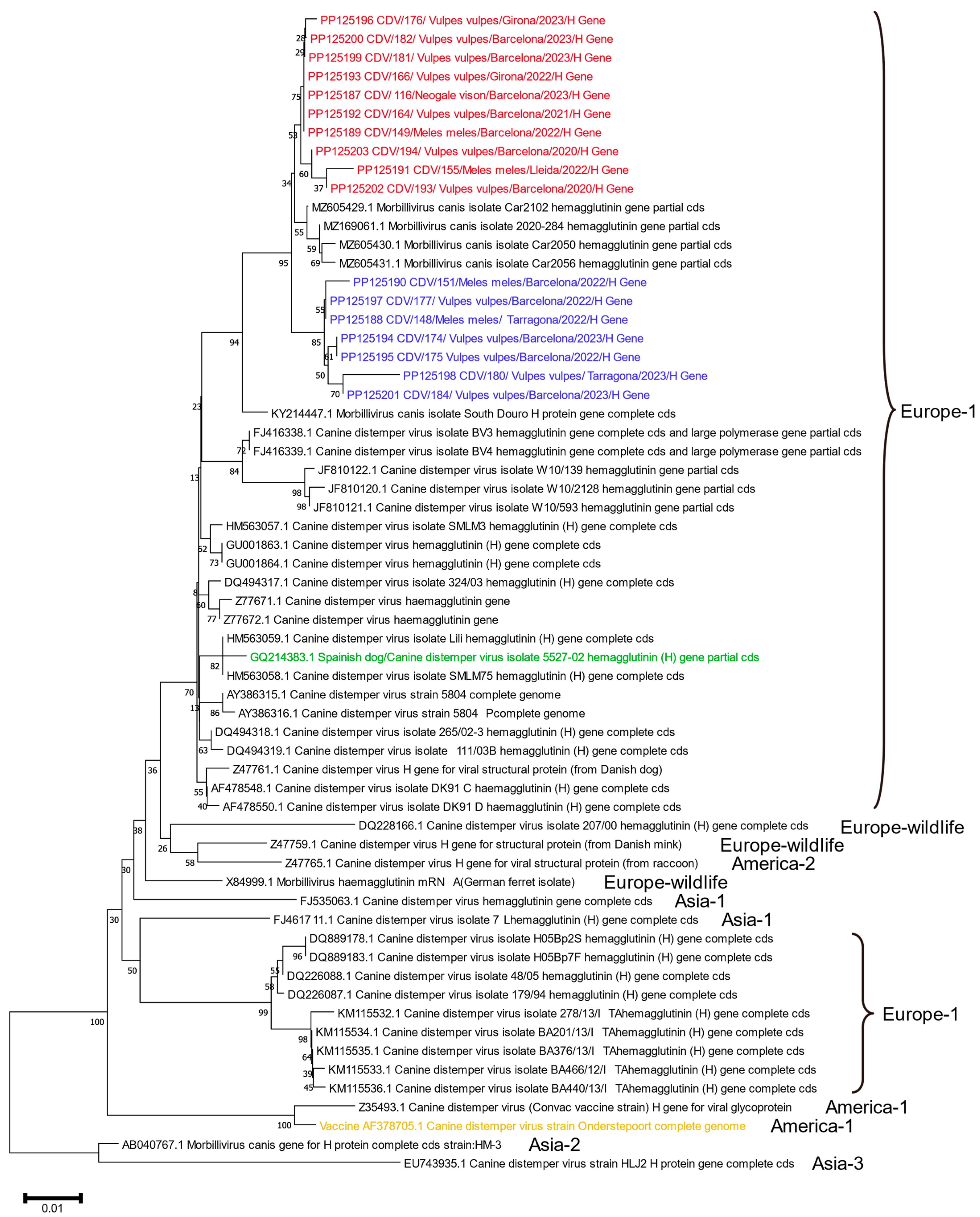 Animals 14 00436 g002