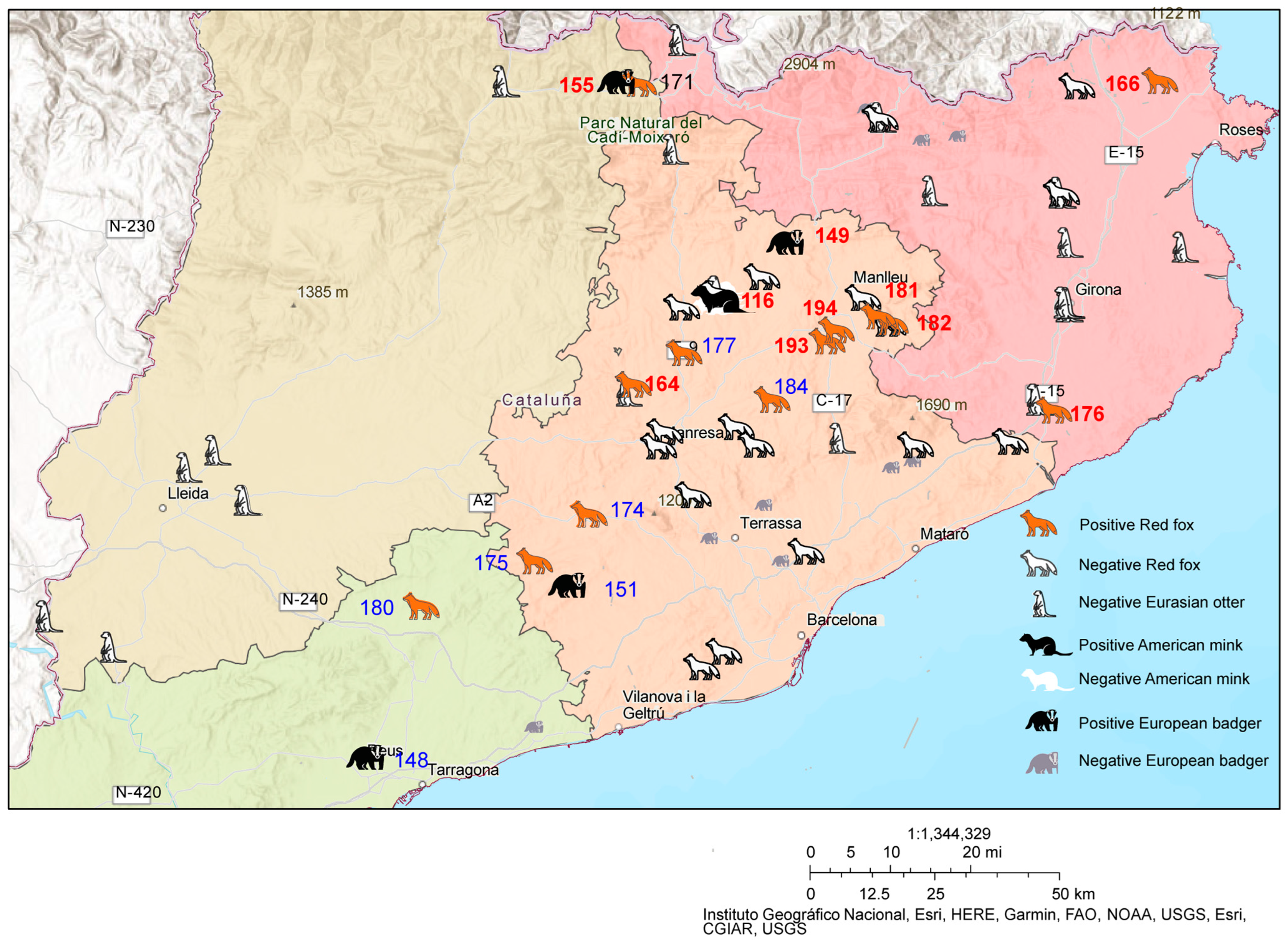 Animals 14 00436 g003