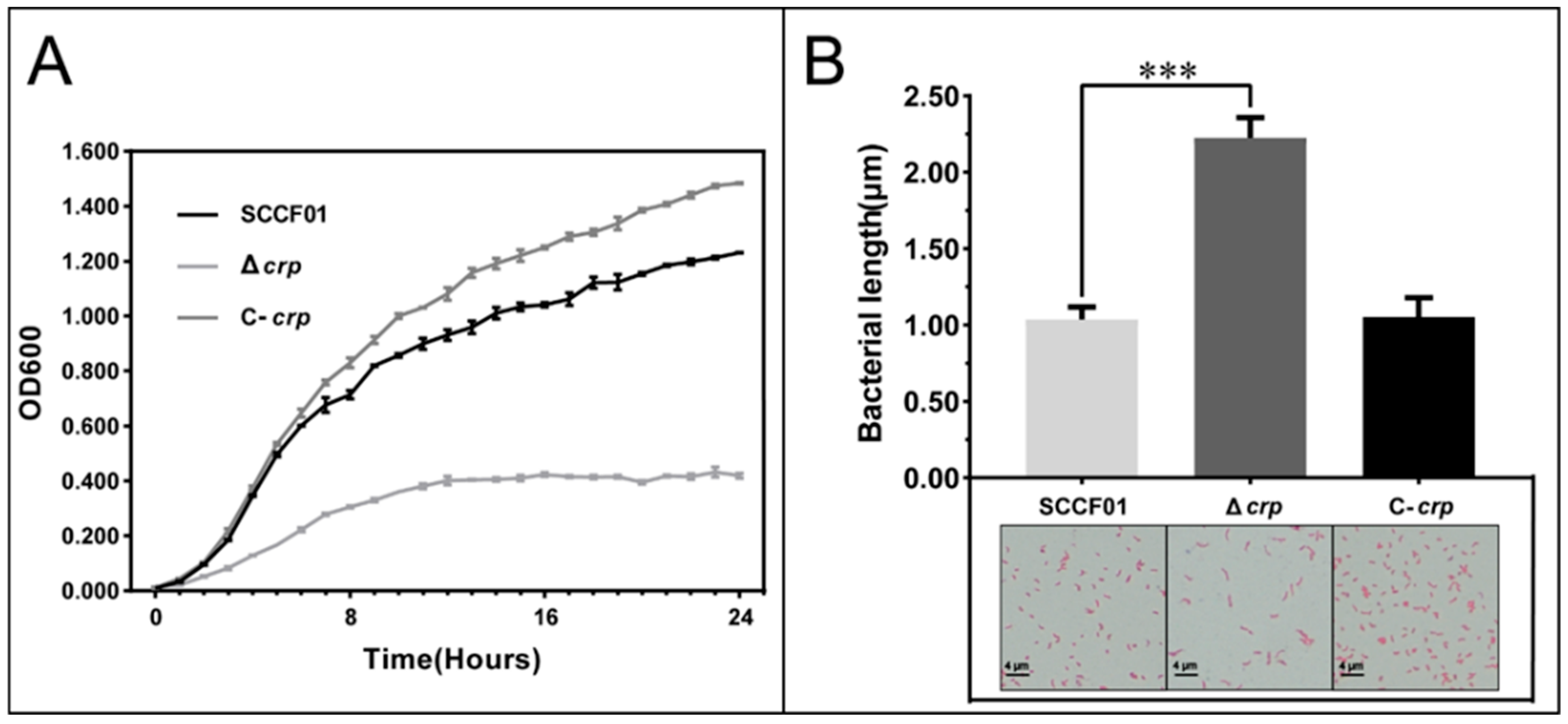 Animals 14 00437 g002 Animals 14 00437 g002