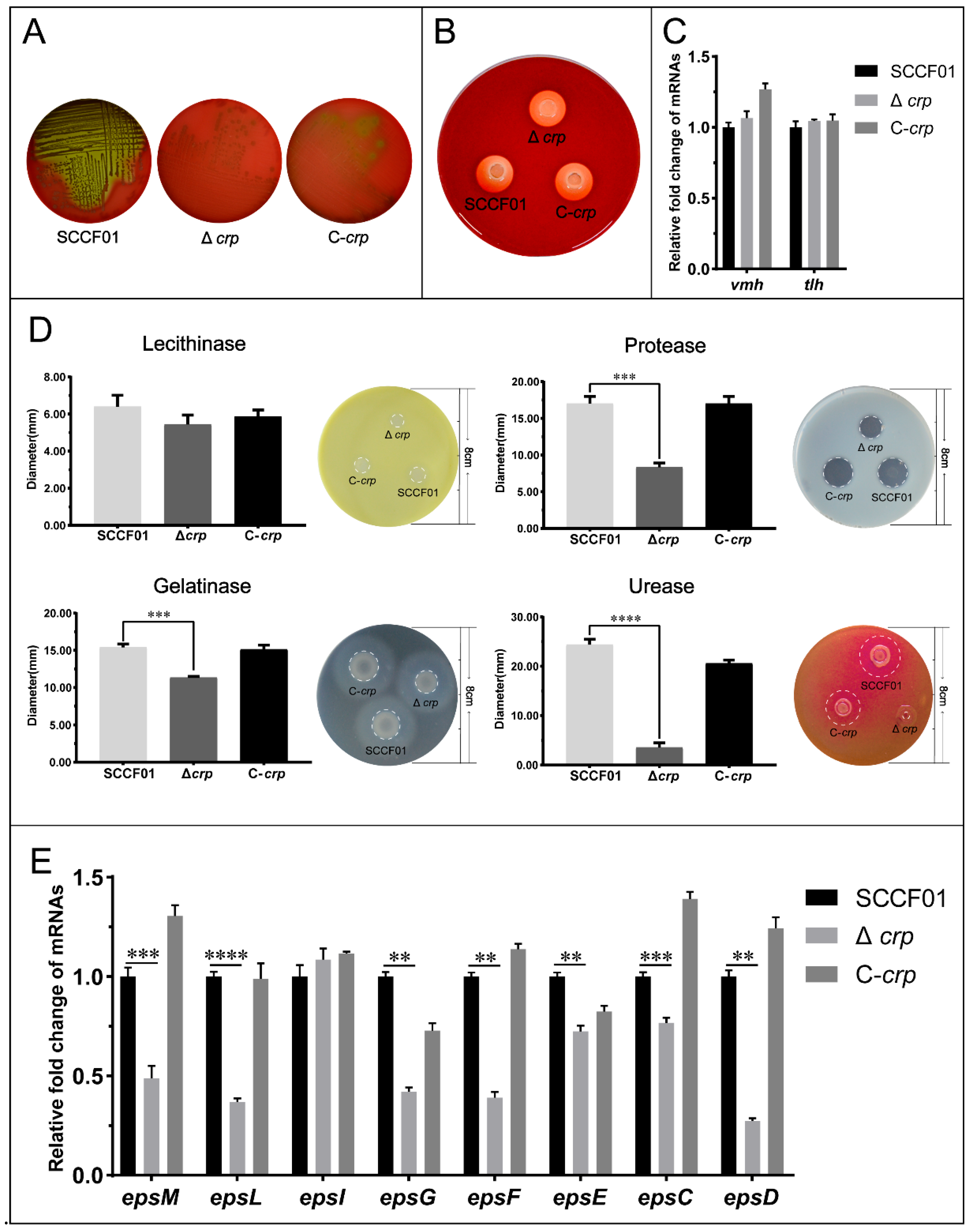Animals 14 00437 g003 Animals 14 00437 g003
