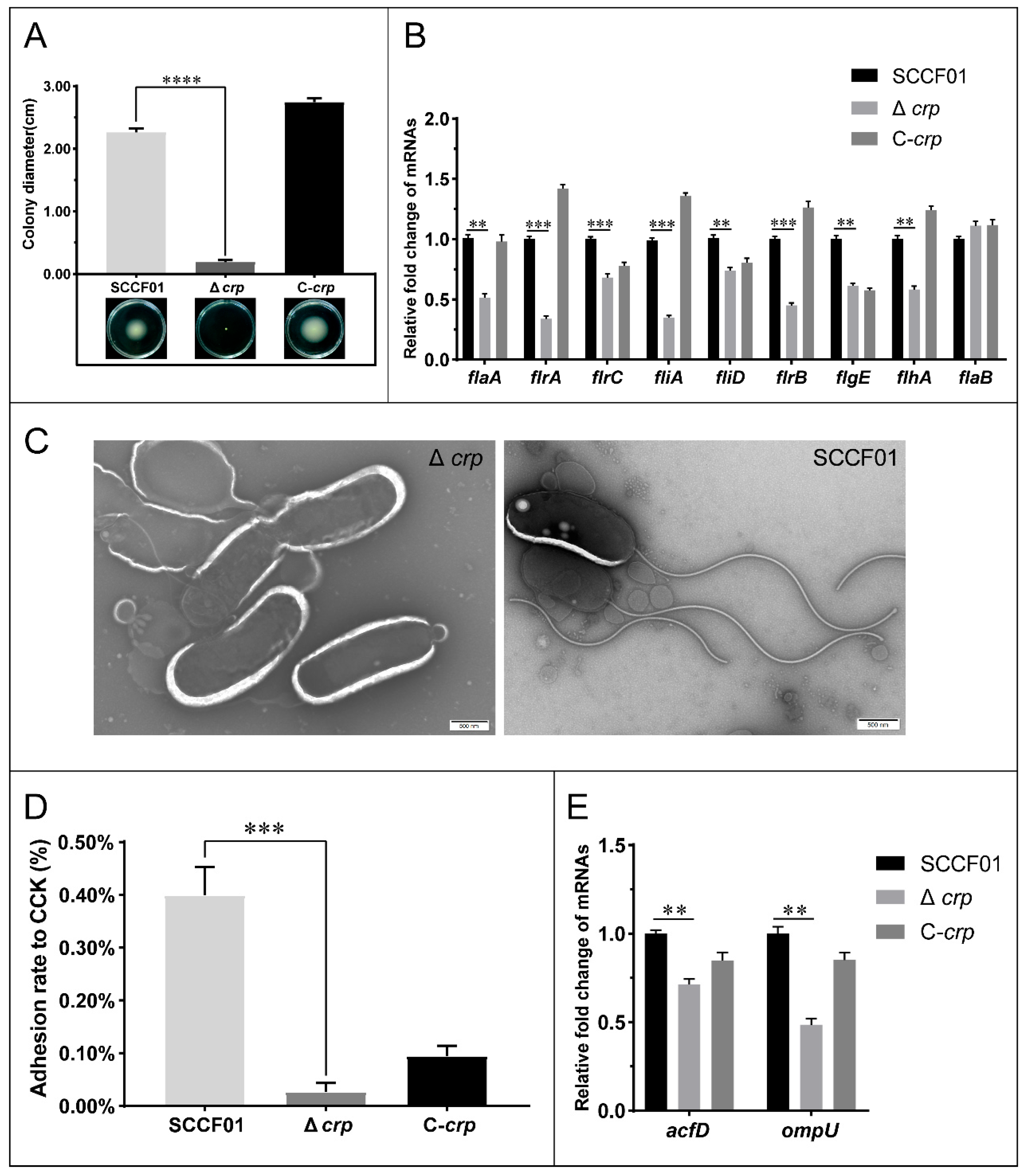 Animals 14 00437 g005 Animals 14 00437 g005
