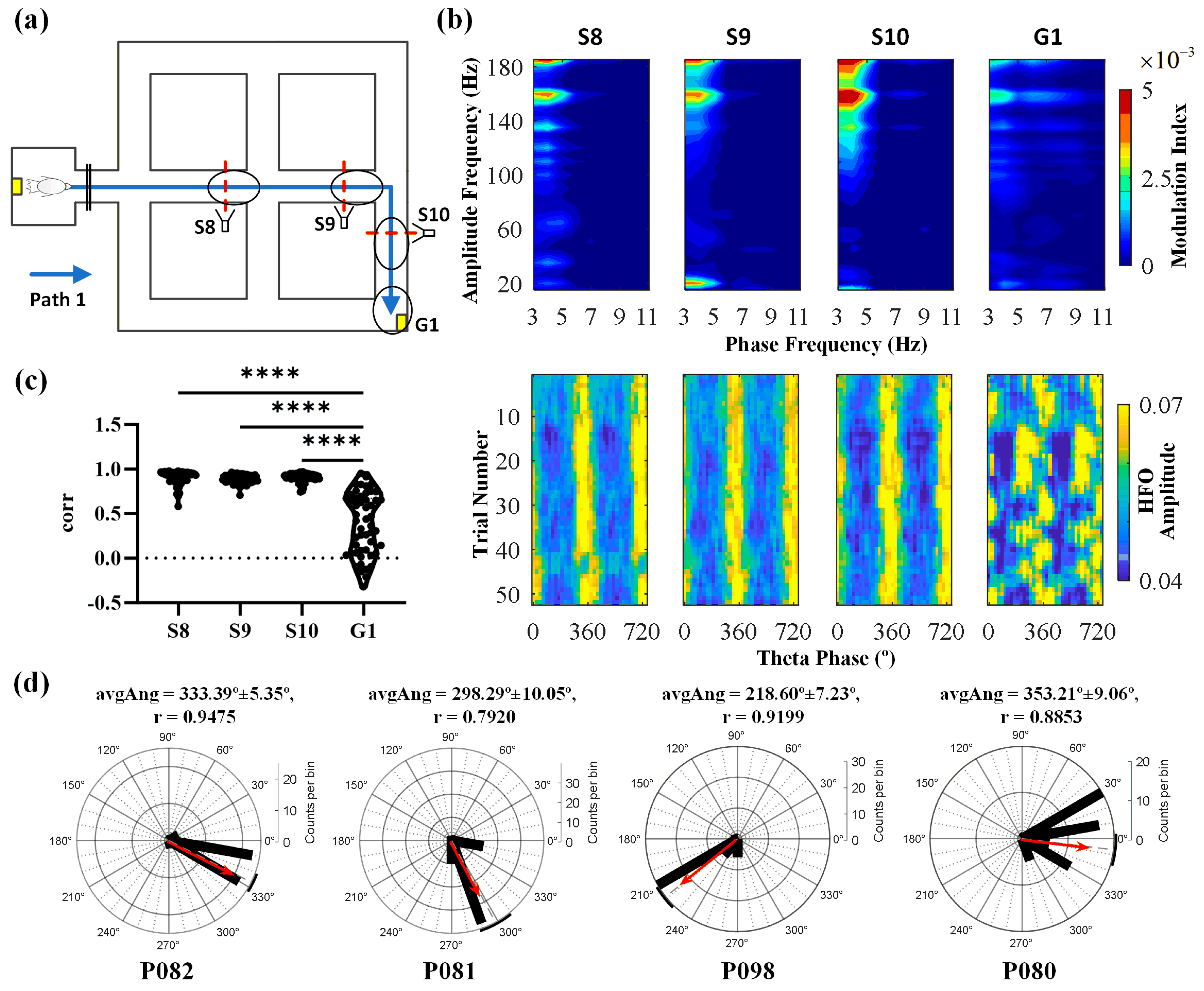 Animals 14 00439 g004