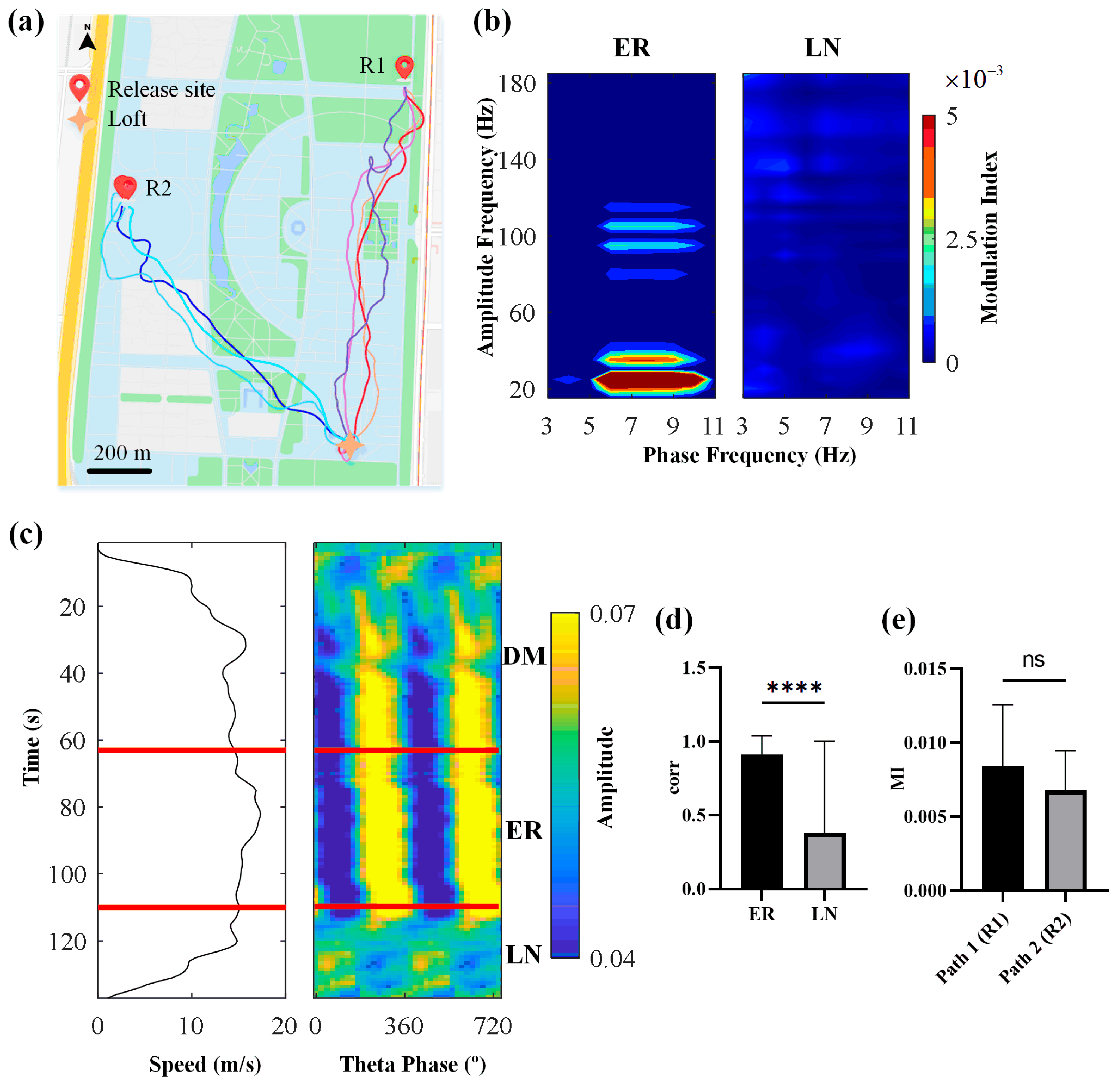 Animals 14 00439 g006